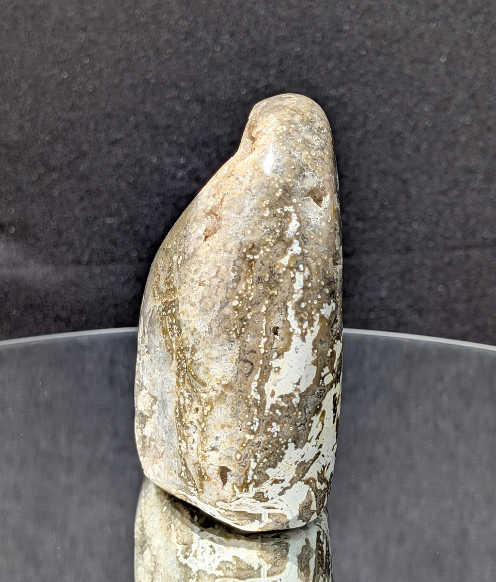 Ocean Jasper A