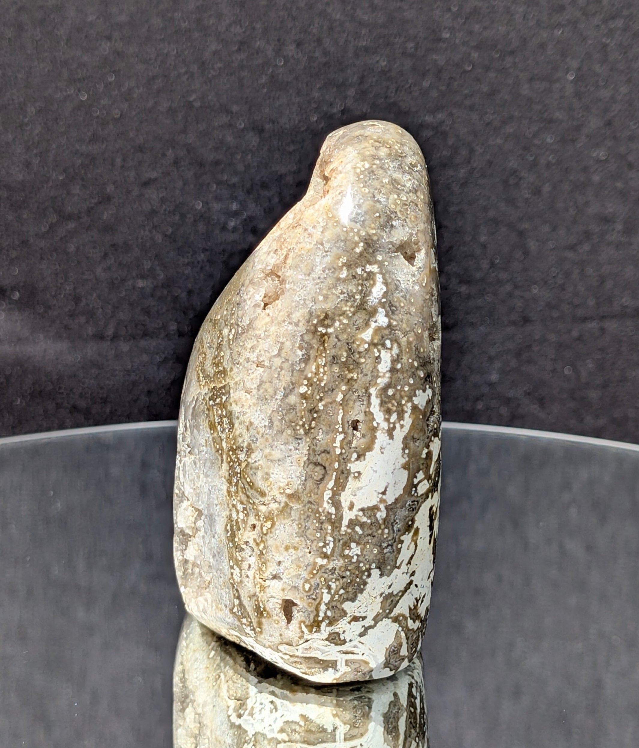 Ocean Jasper A