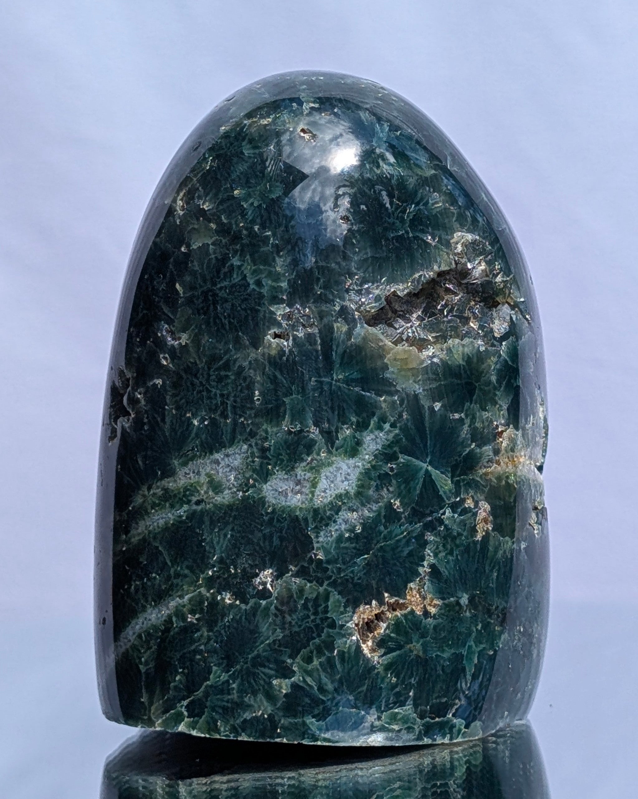 Ocean Jasper D