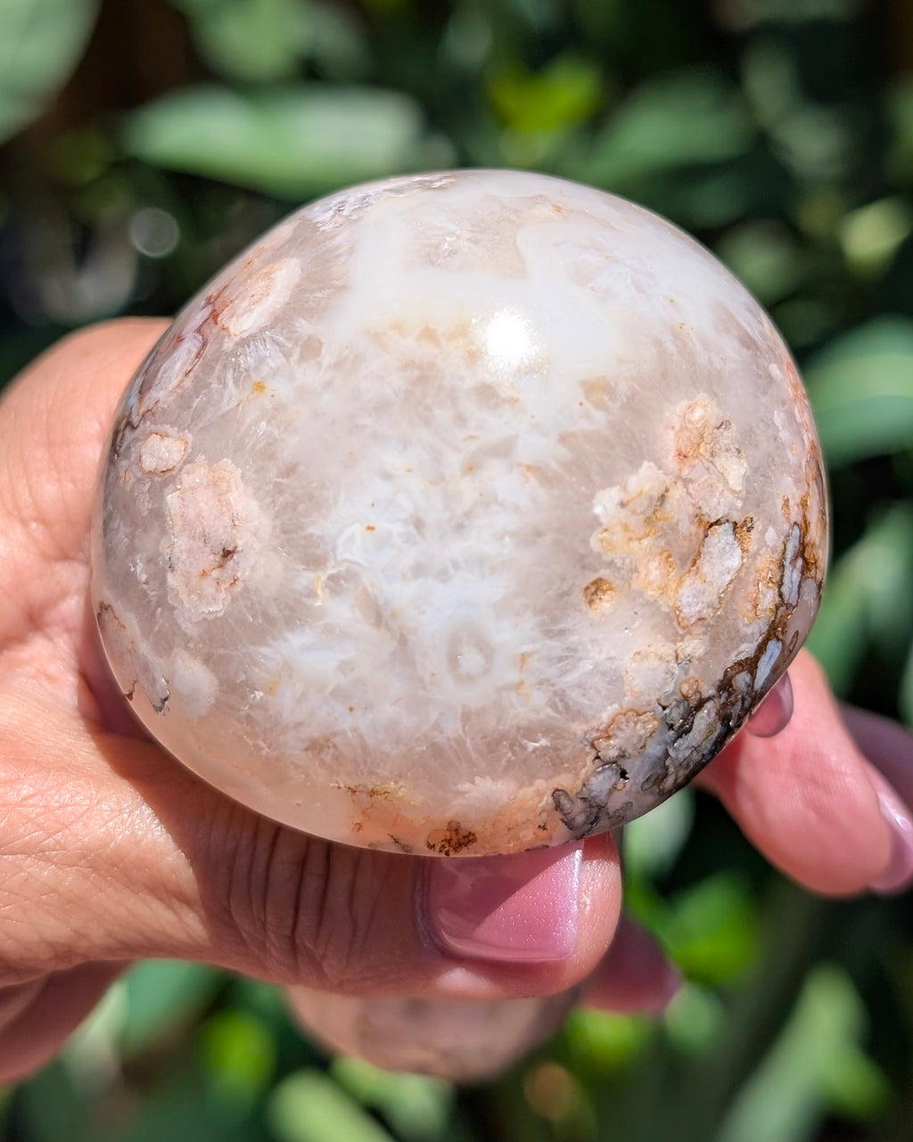 Flower Agate Mushroom F