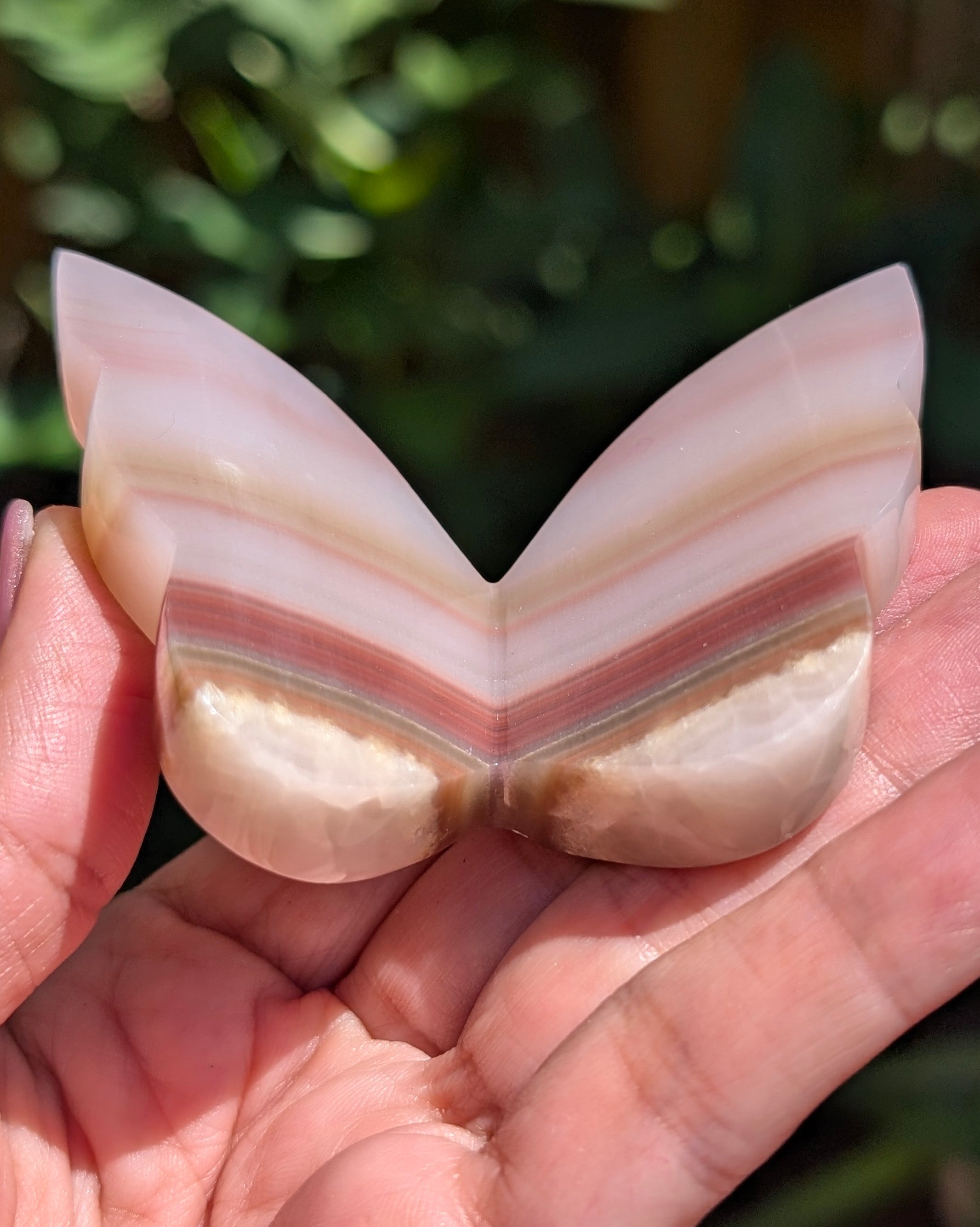 Banded Calcite Butterfly Y