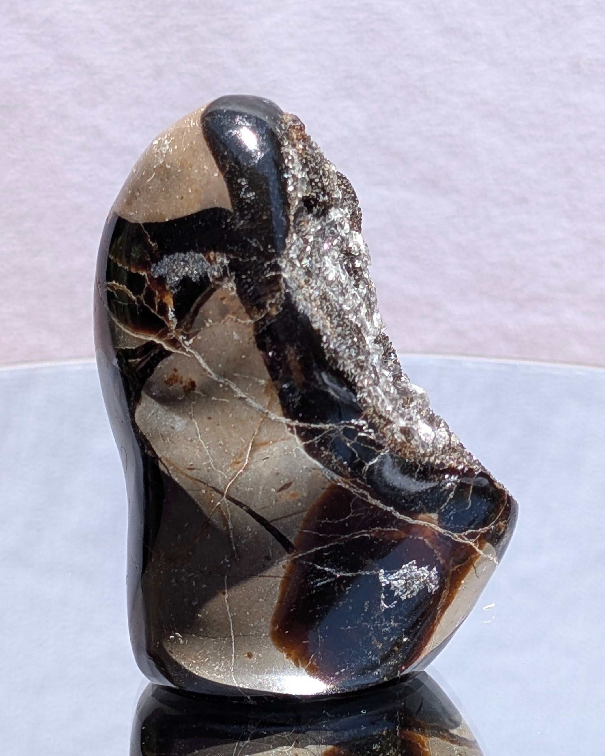 Septarian Dragon Egg E