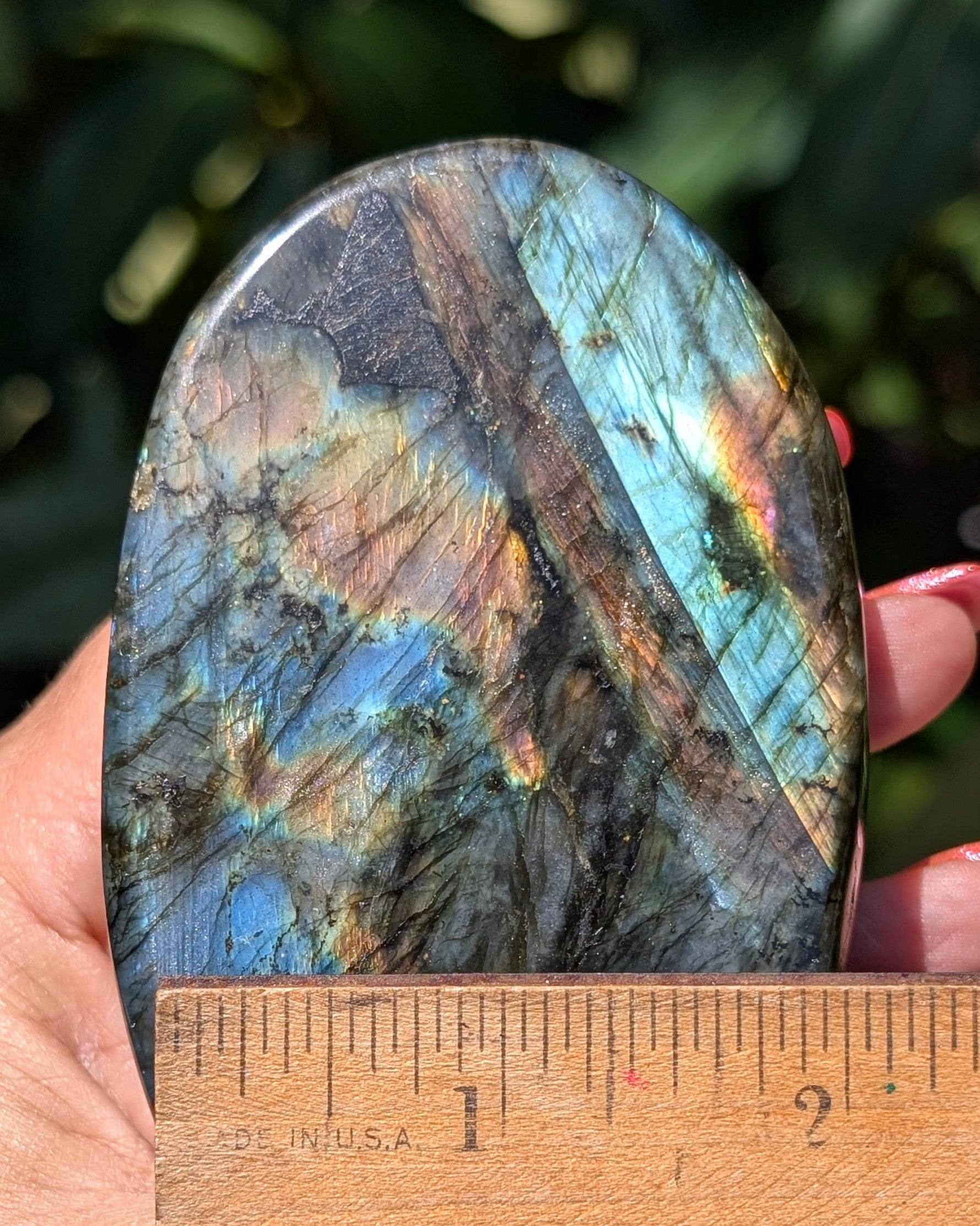 Spectrolite Labradorite Freeform - Opt. G