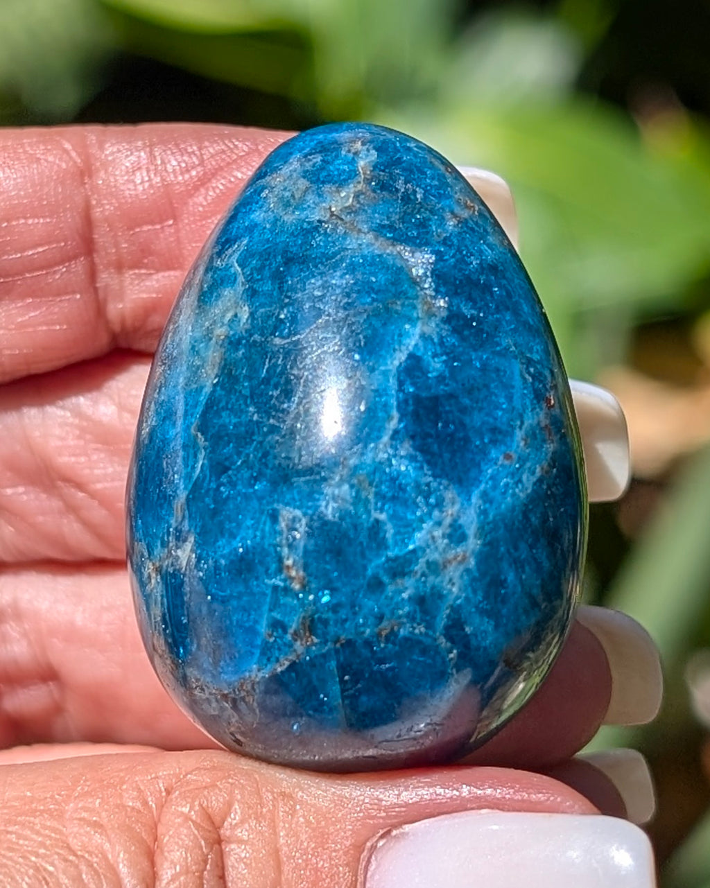 Apatite Egg - Opt. K