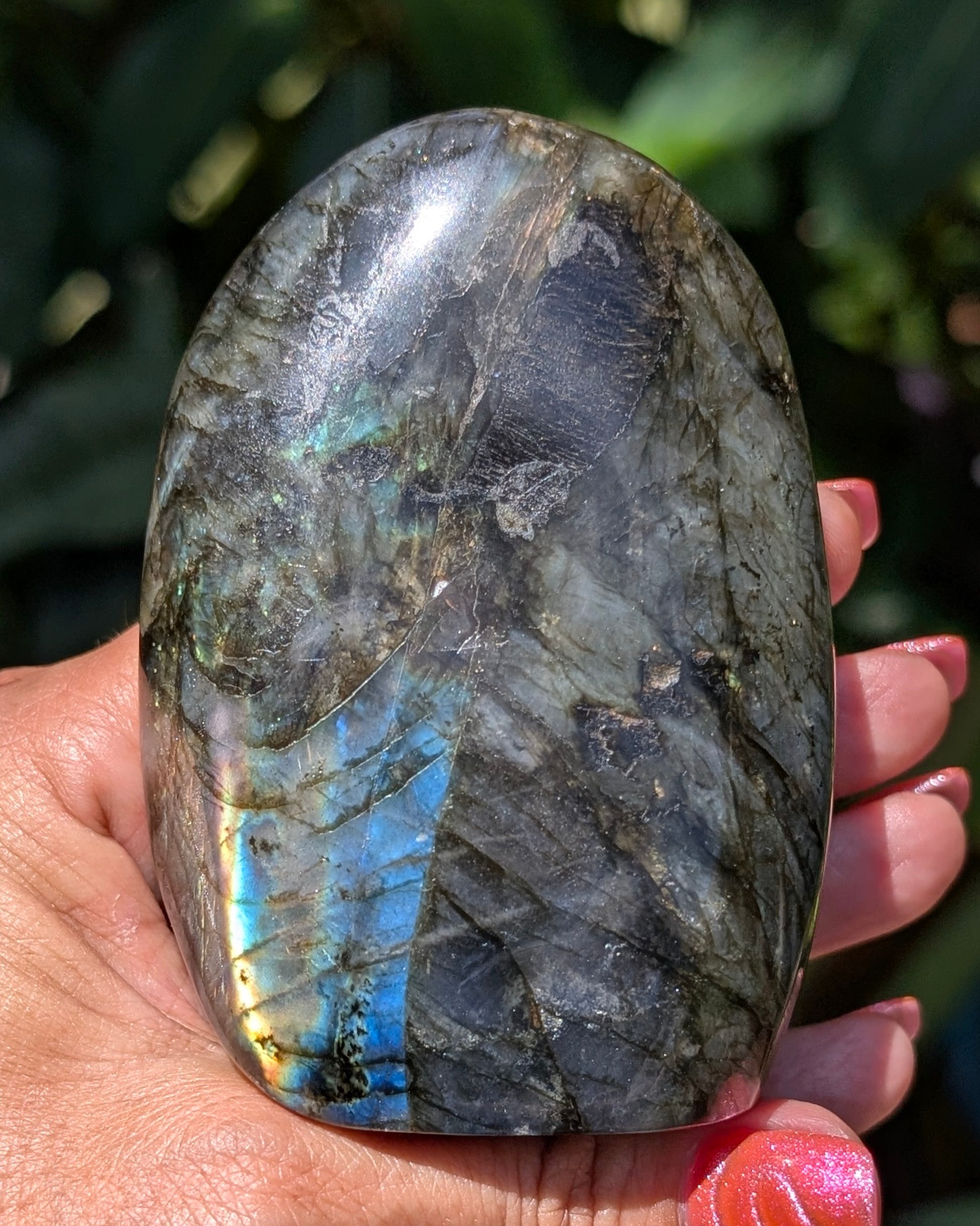 Spectrolite Labradorite Freeform - Opt. G