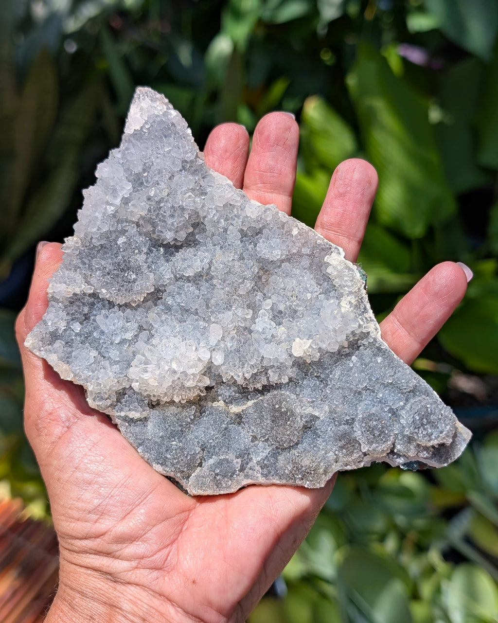 Amethyst Druzy Cluster C