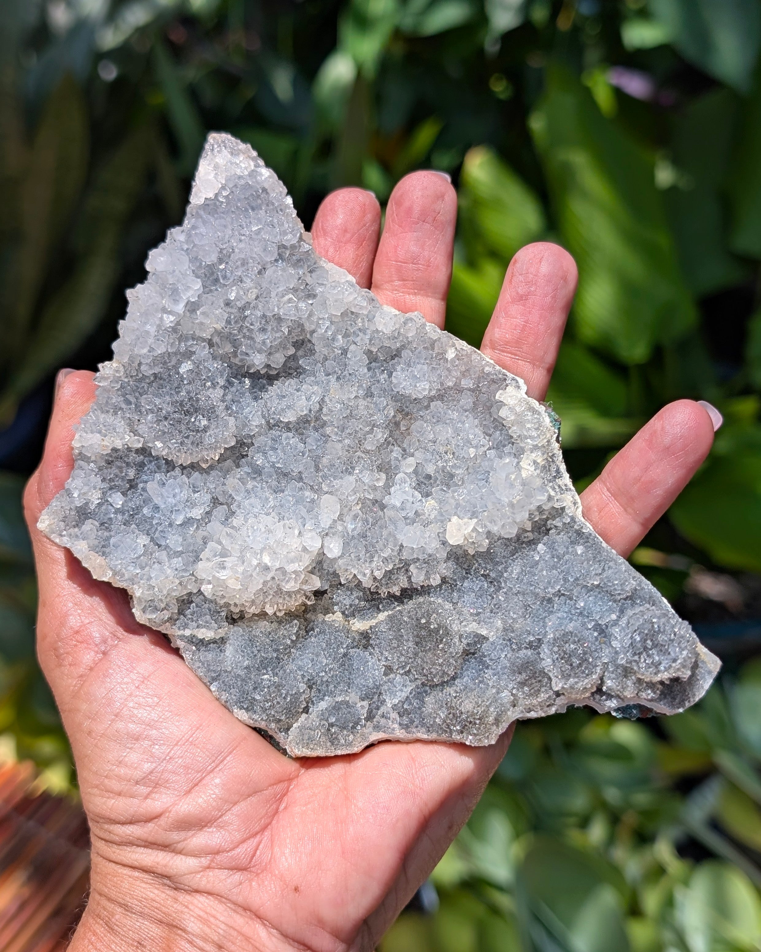 Amethyst Druzy Cluster C