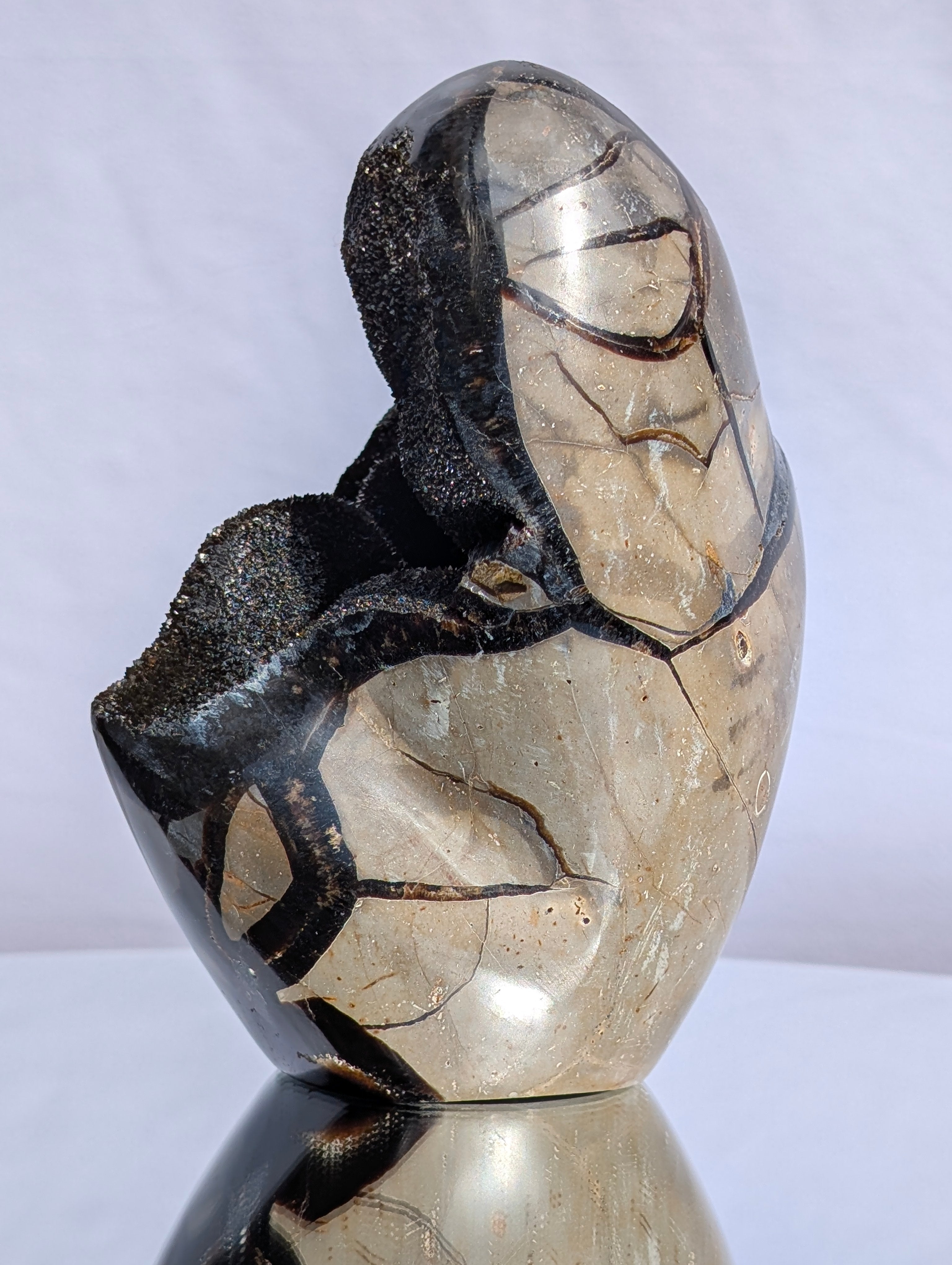 Septarian Dragon Egg C