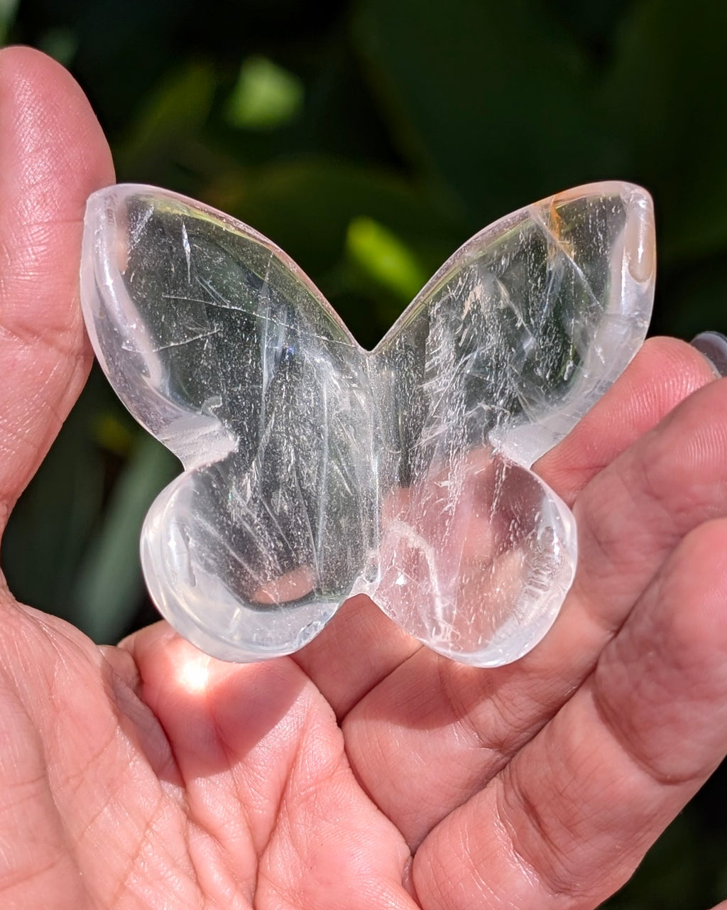 Clear Fluorite 3D Butterfly - Opt. W
