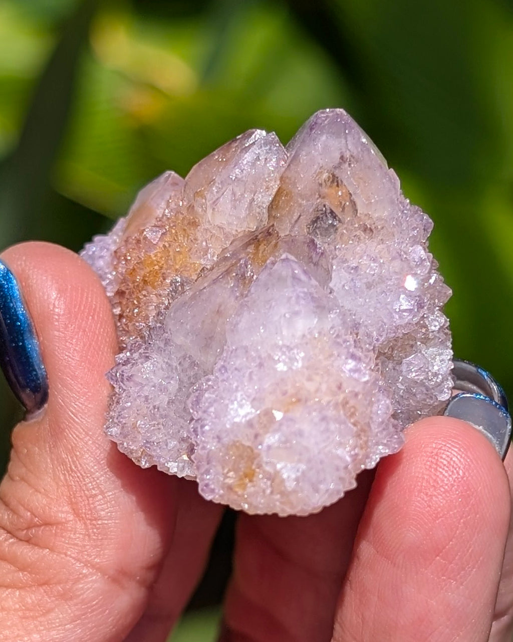 Petit Spirit Quartz - Opt. B