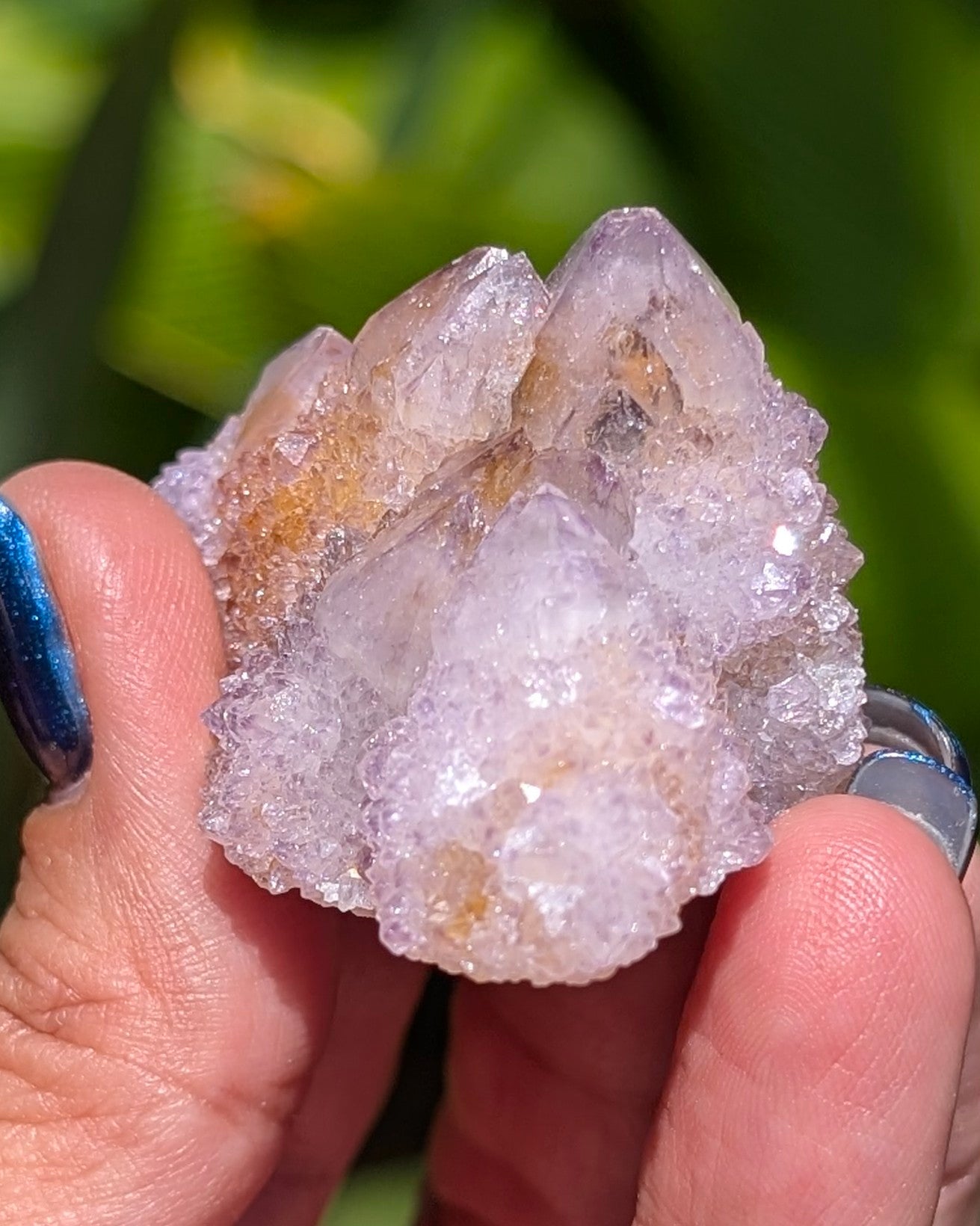 Petit Spirit Quartz - Opt. B
