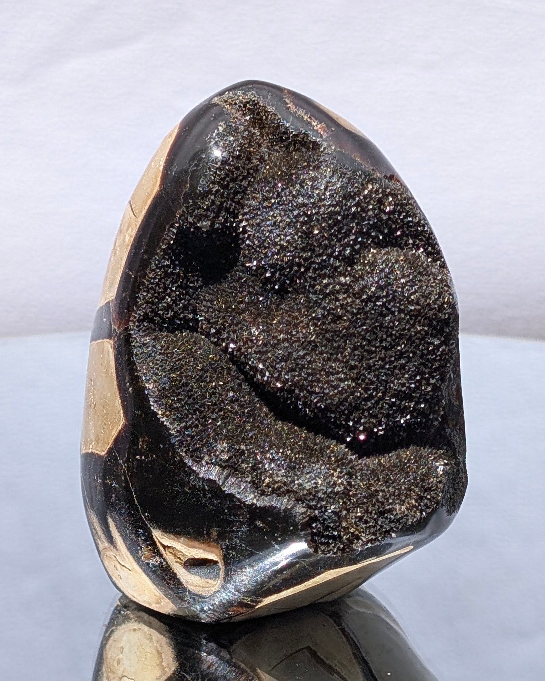 Septarian Dragon Egg D