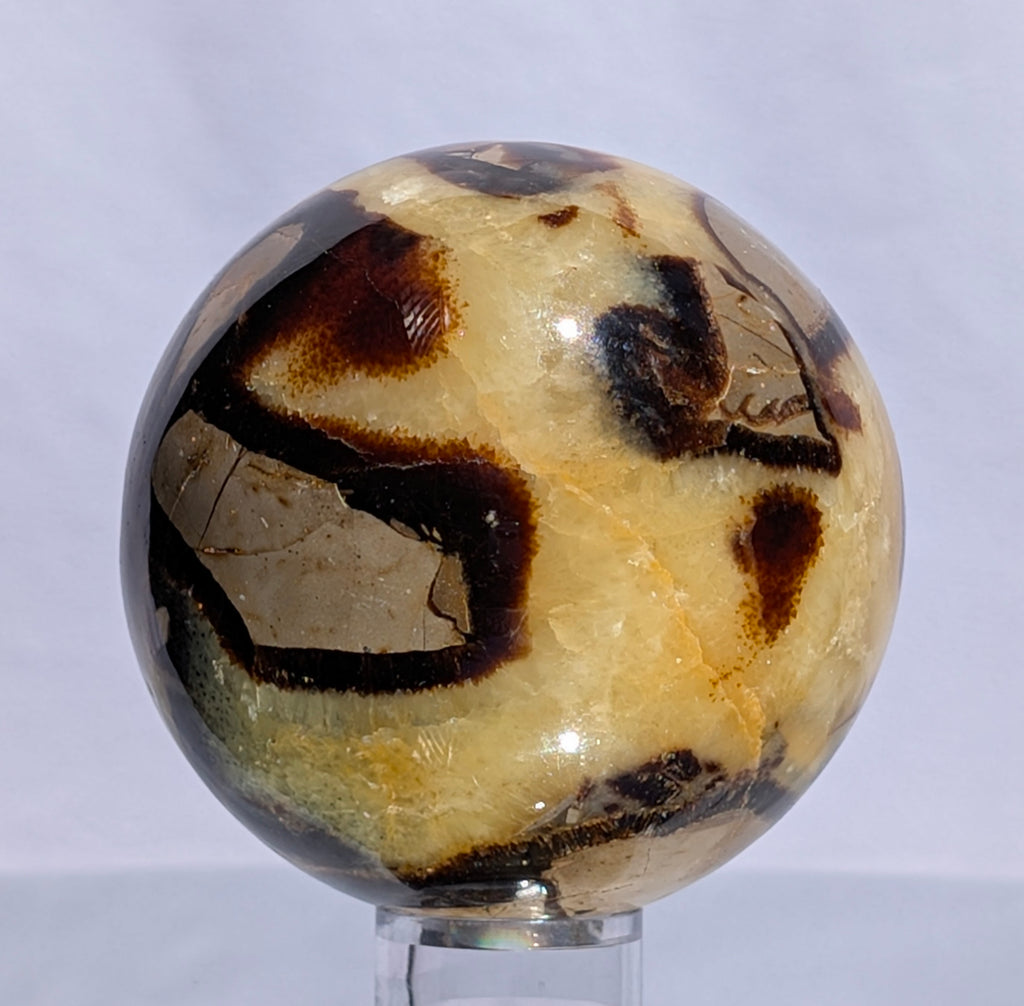 Septarian Dragon Stone Sphere A