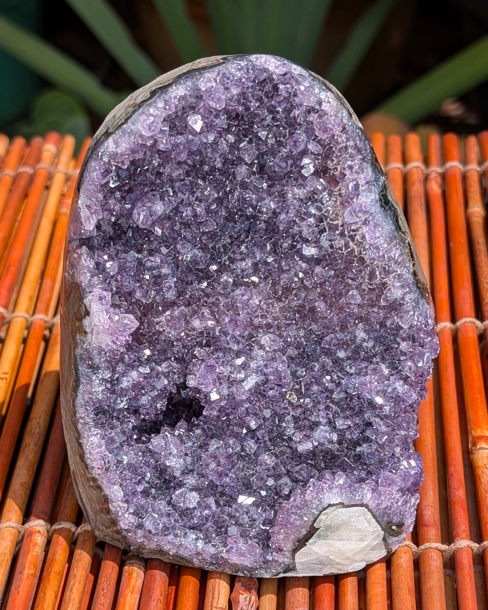 Amethyst Druzy Cluster C