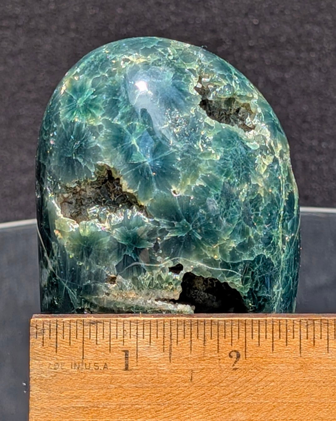 Ocean Jasper D