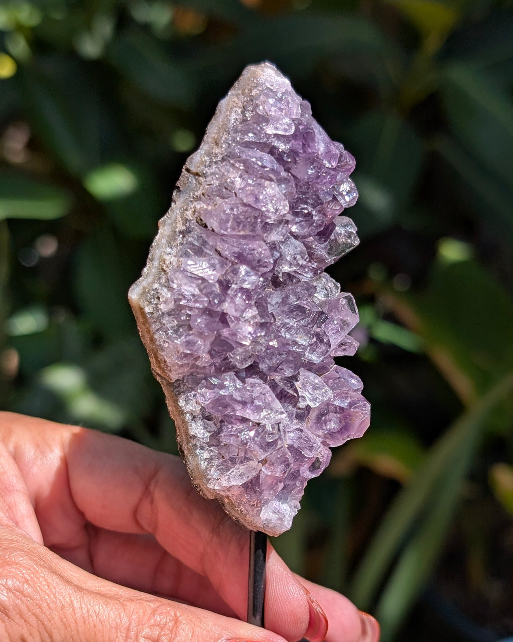Druzy Amethyst on metal stand - Opt. D