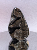 Septarian Dragon Egg B