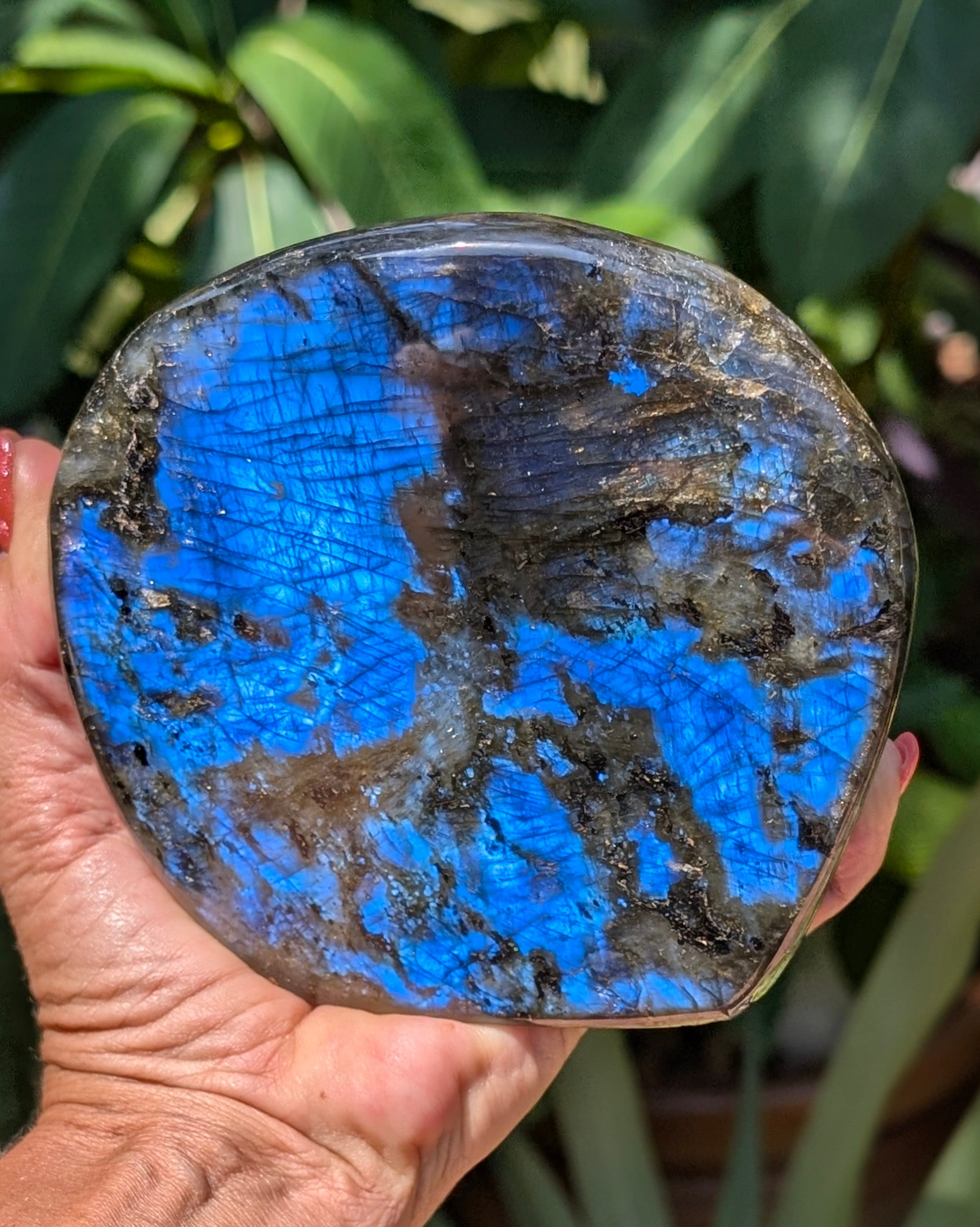 Flashy Blue Labradorite Freeform - Opt. D