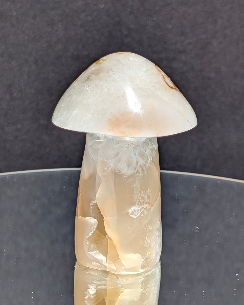 Flower Agate Mushroom E