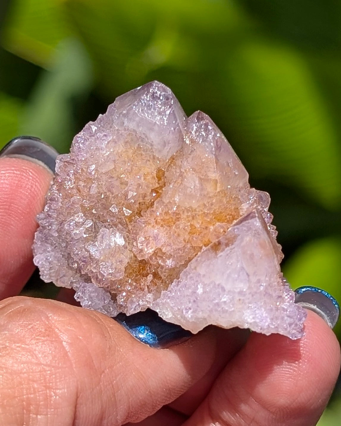 Petit Spirit Quartz - Opt. B