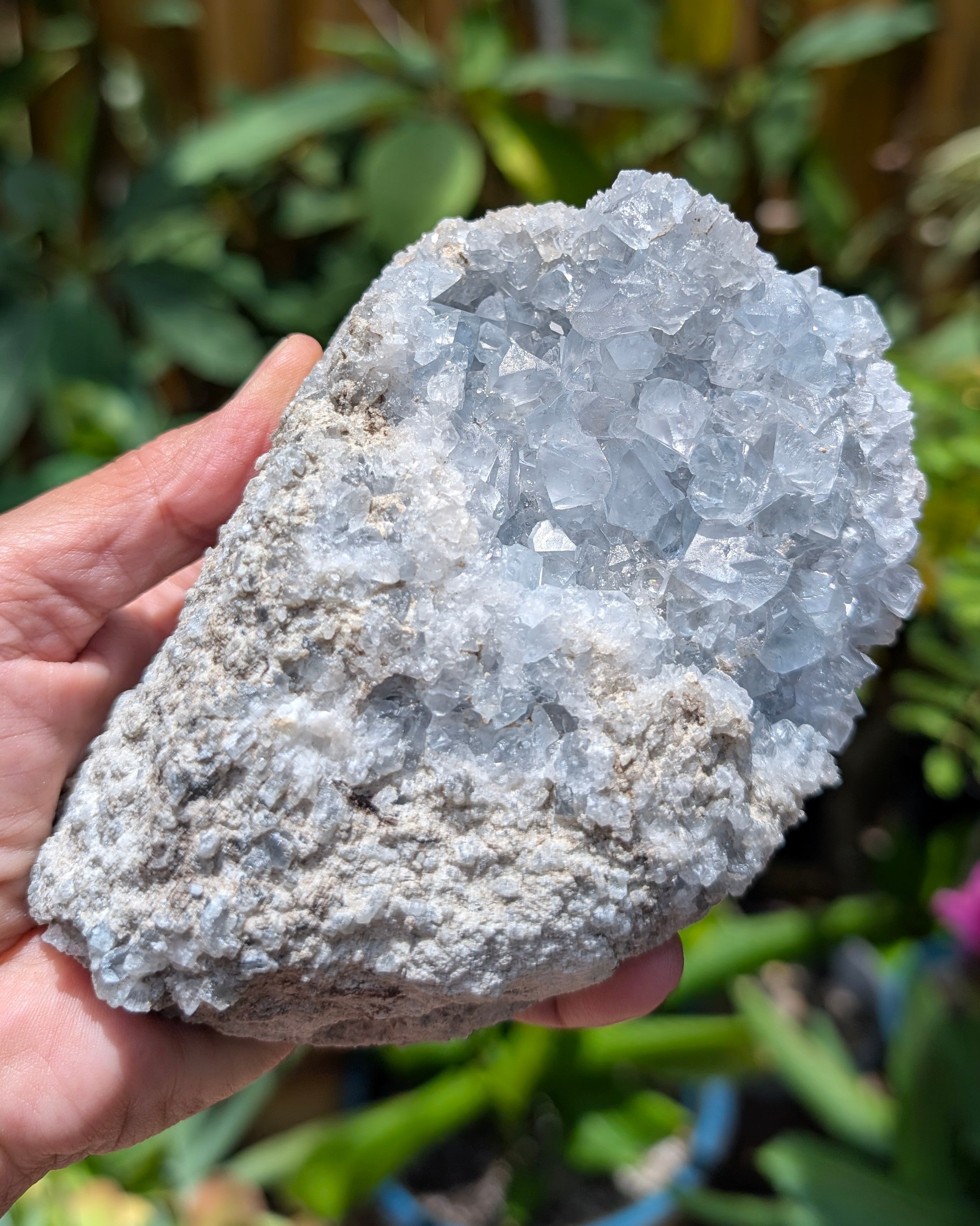 Celestite Cluster H