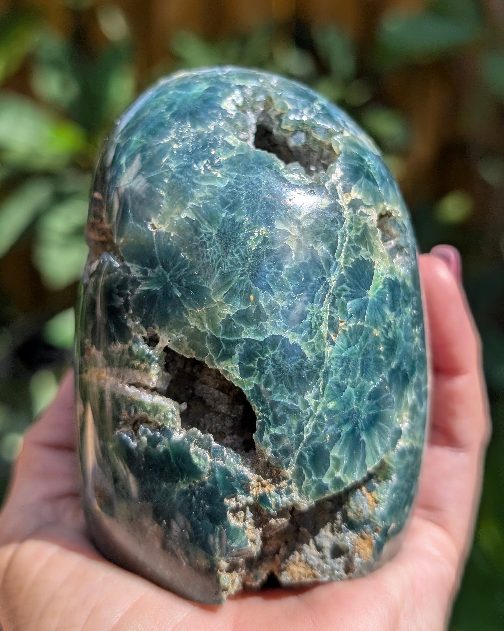 Ocean Jasper D