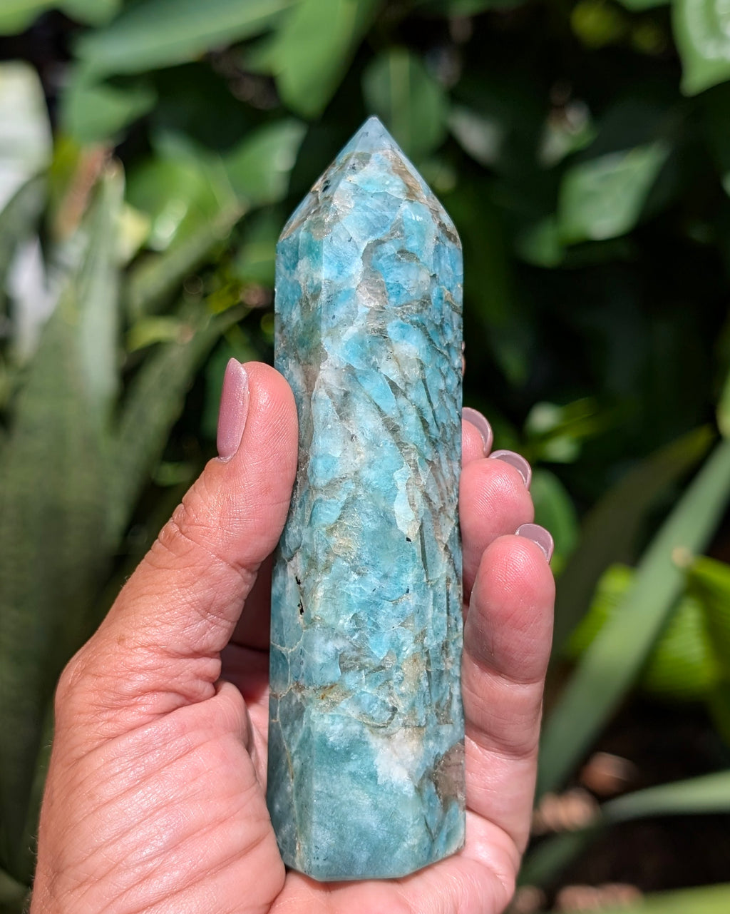 Amazonite Generator D