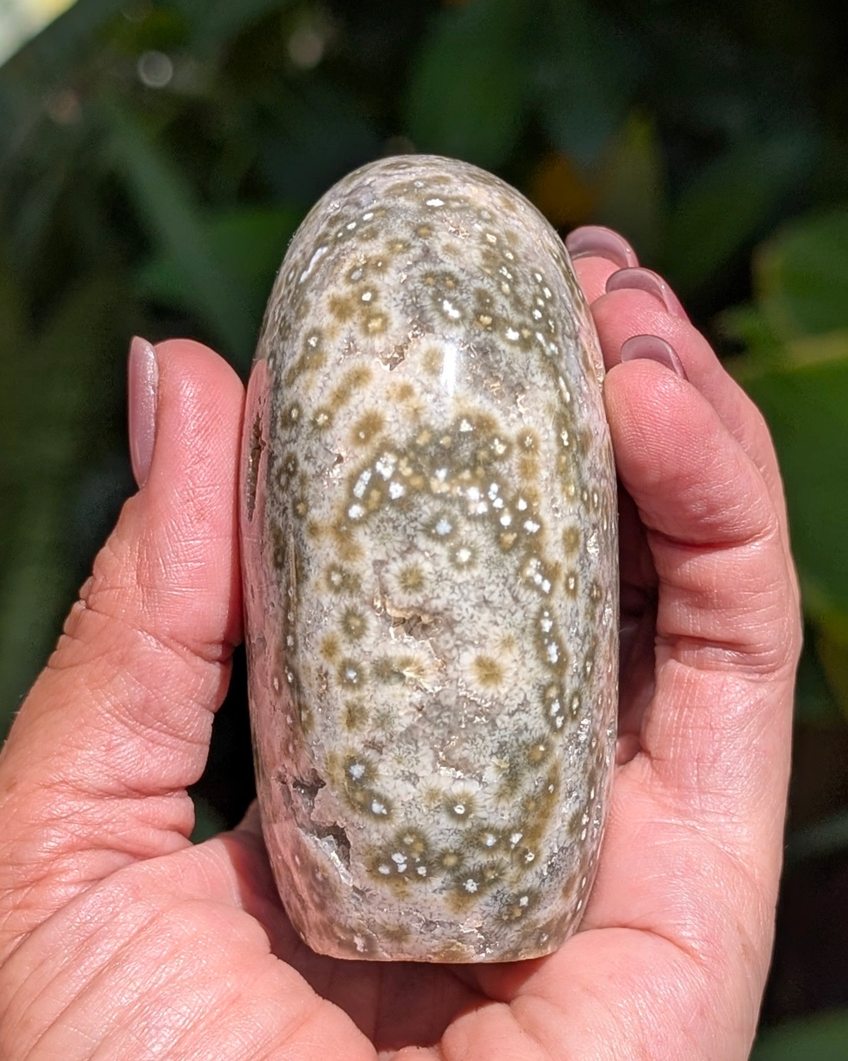 Ocean Jasper C