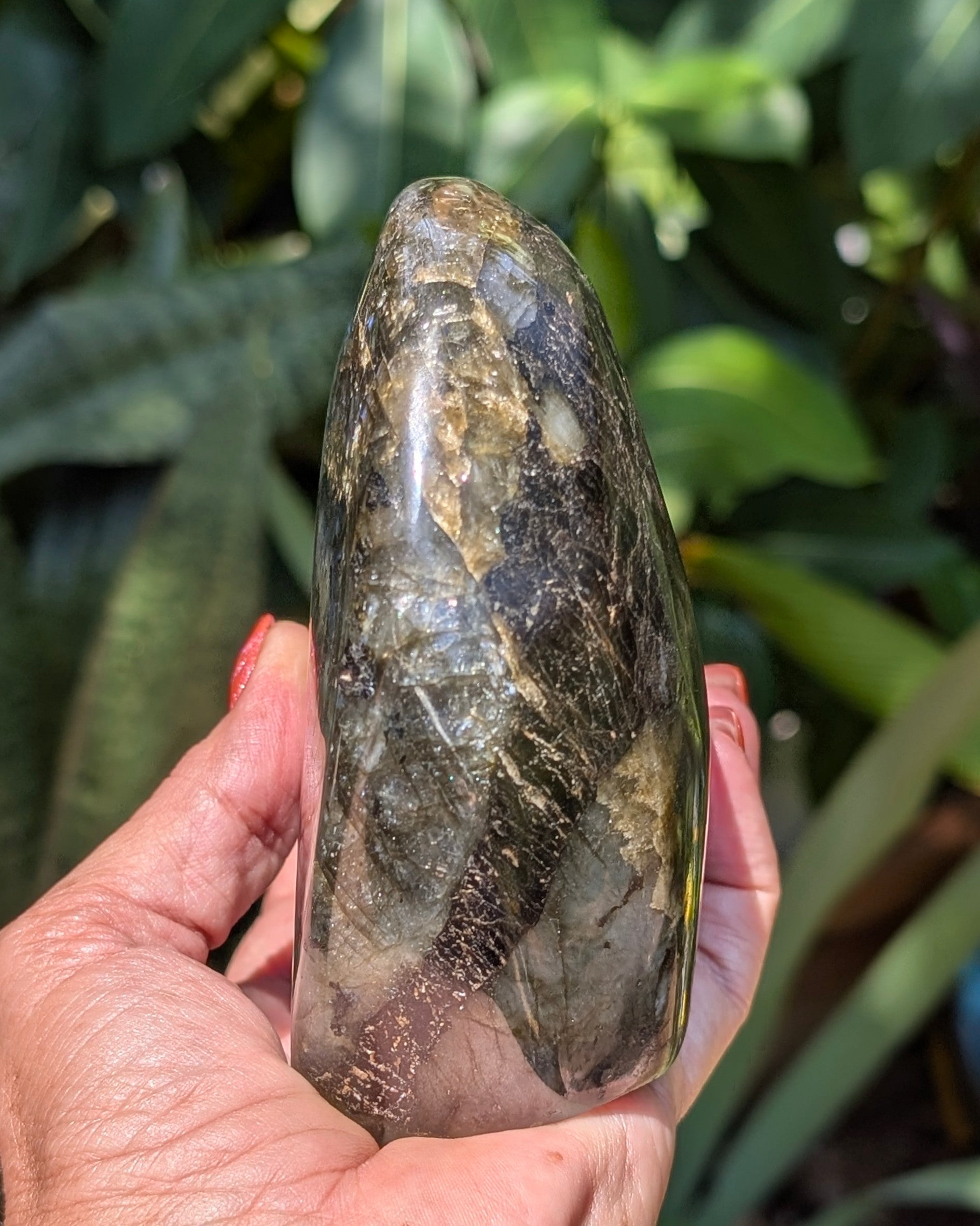 Flashy Blue Labradorite Freeform - Opt. D