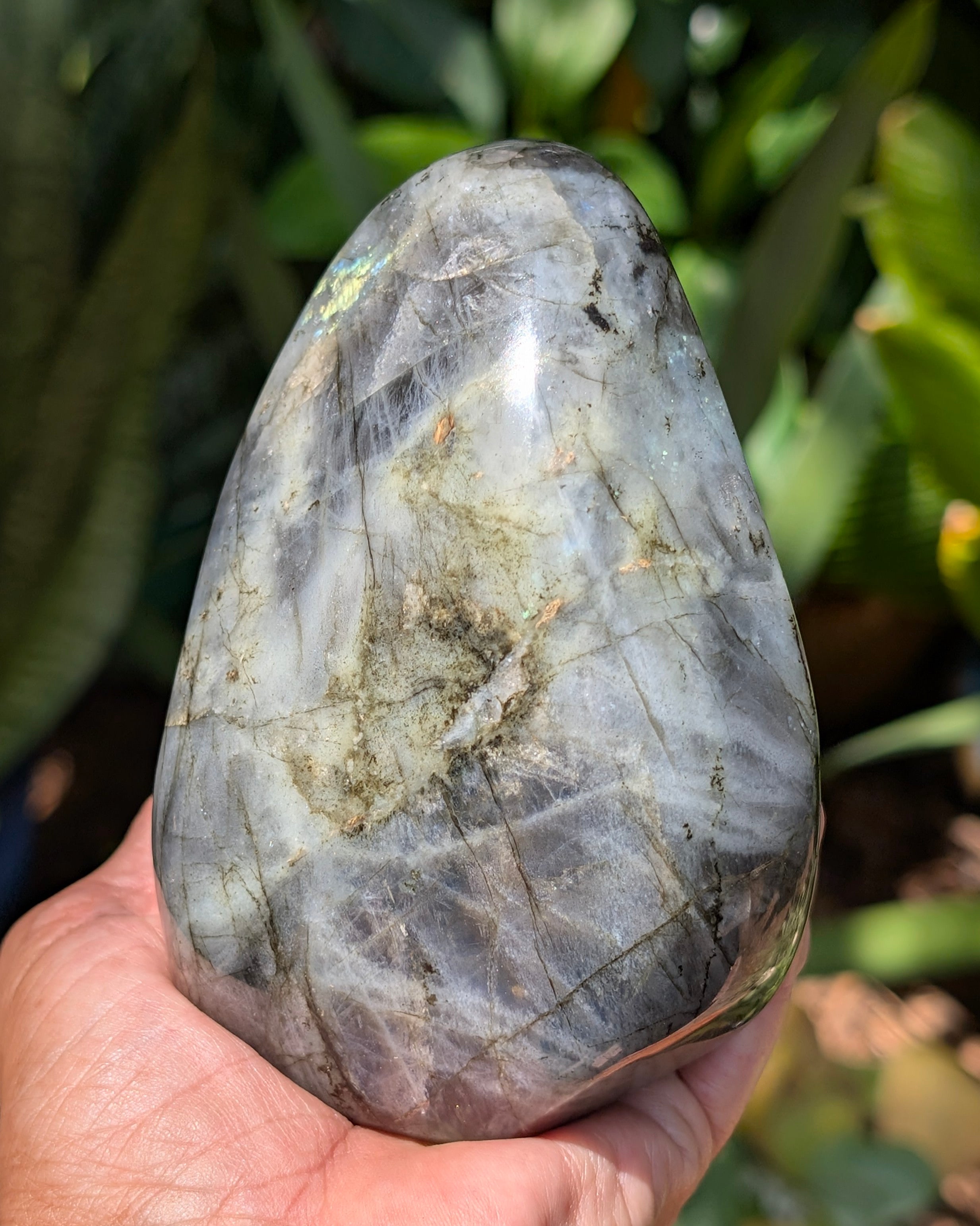 Labradorite E