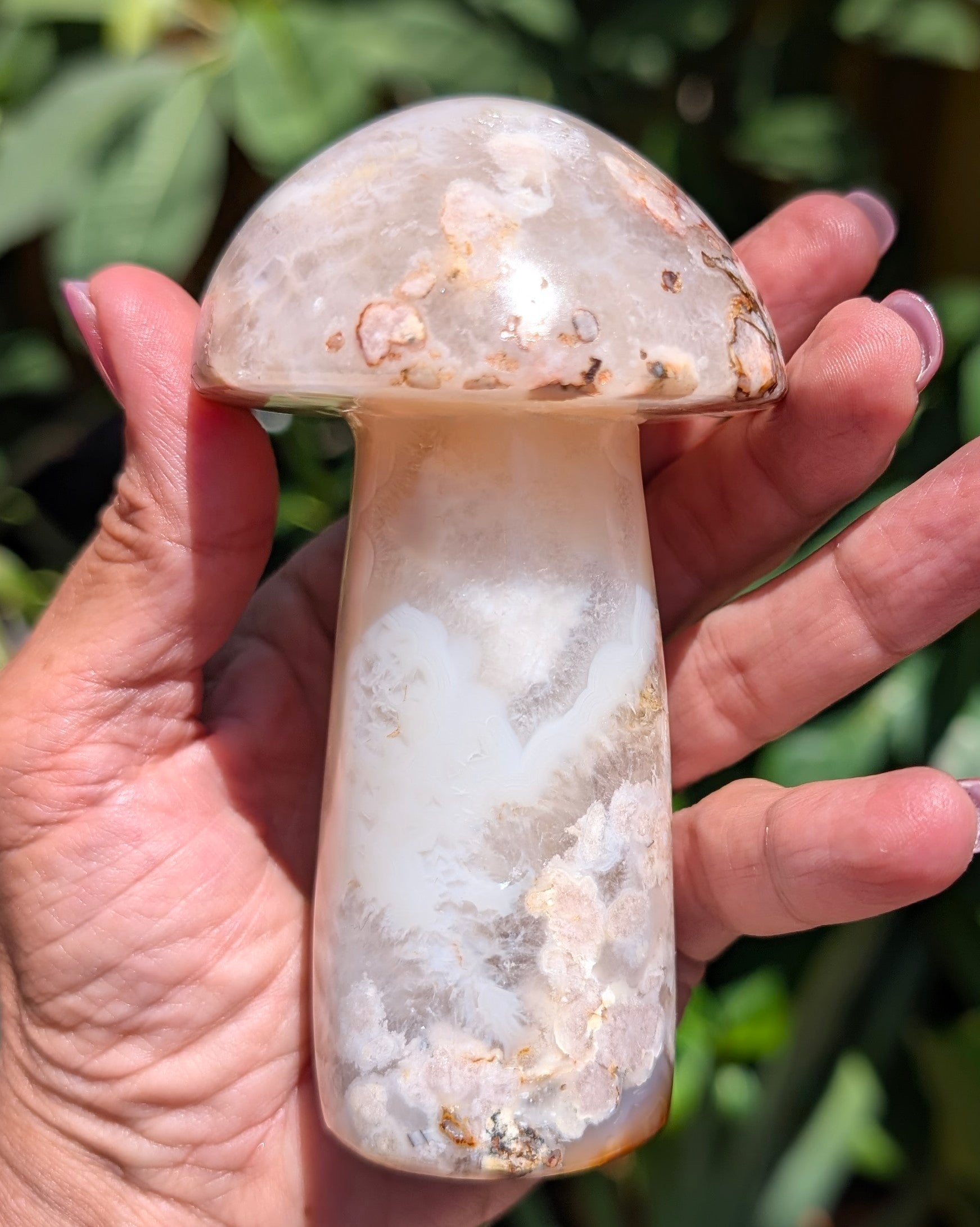 Flower Agate Mushroom F
