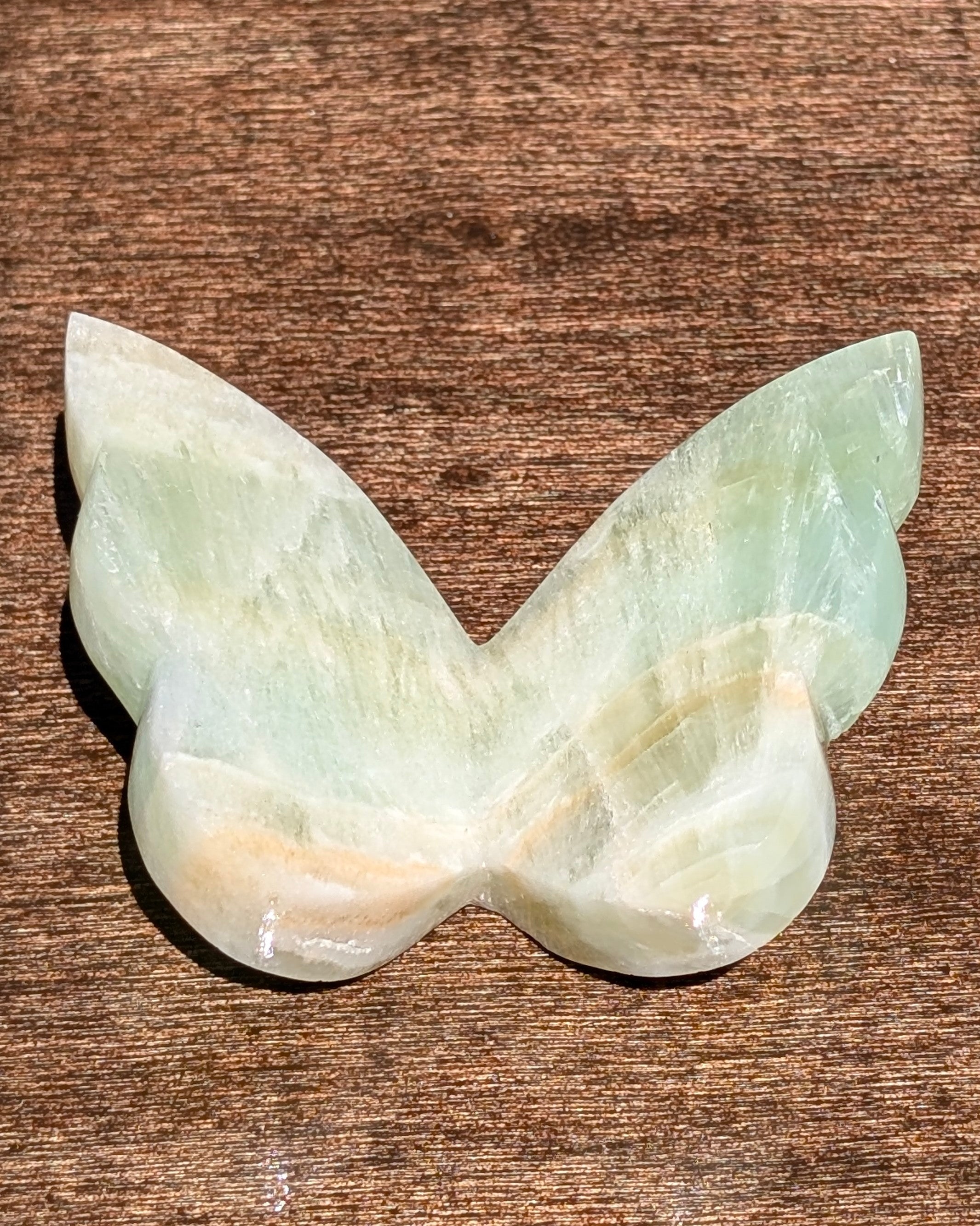 Caribbean Calcite Butterfly V