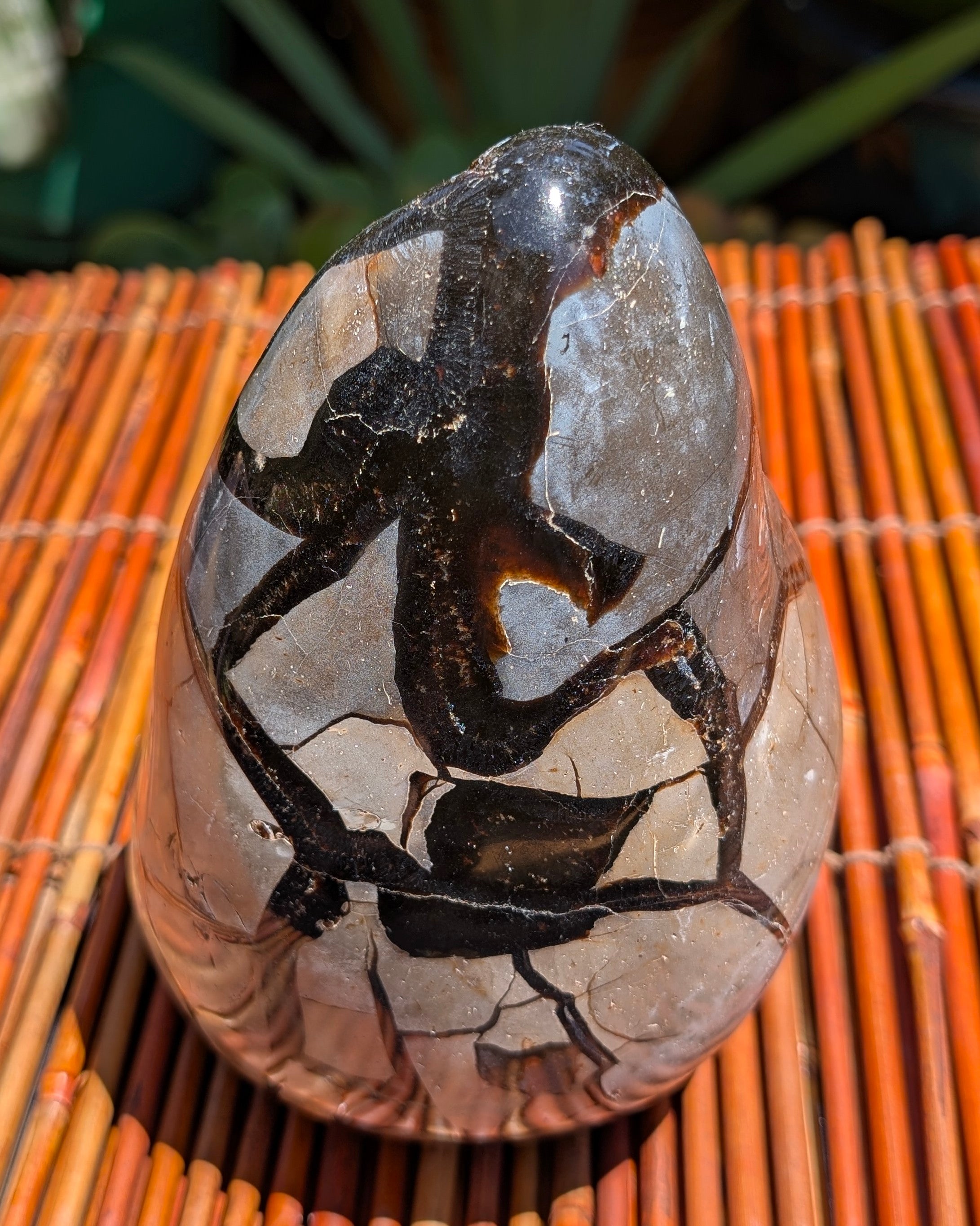 Septarian Dragon Egg B