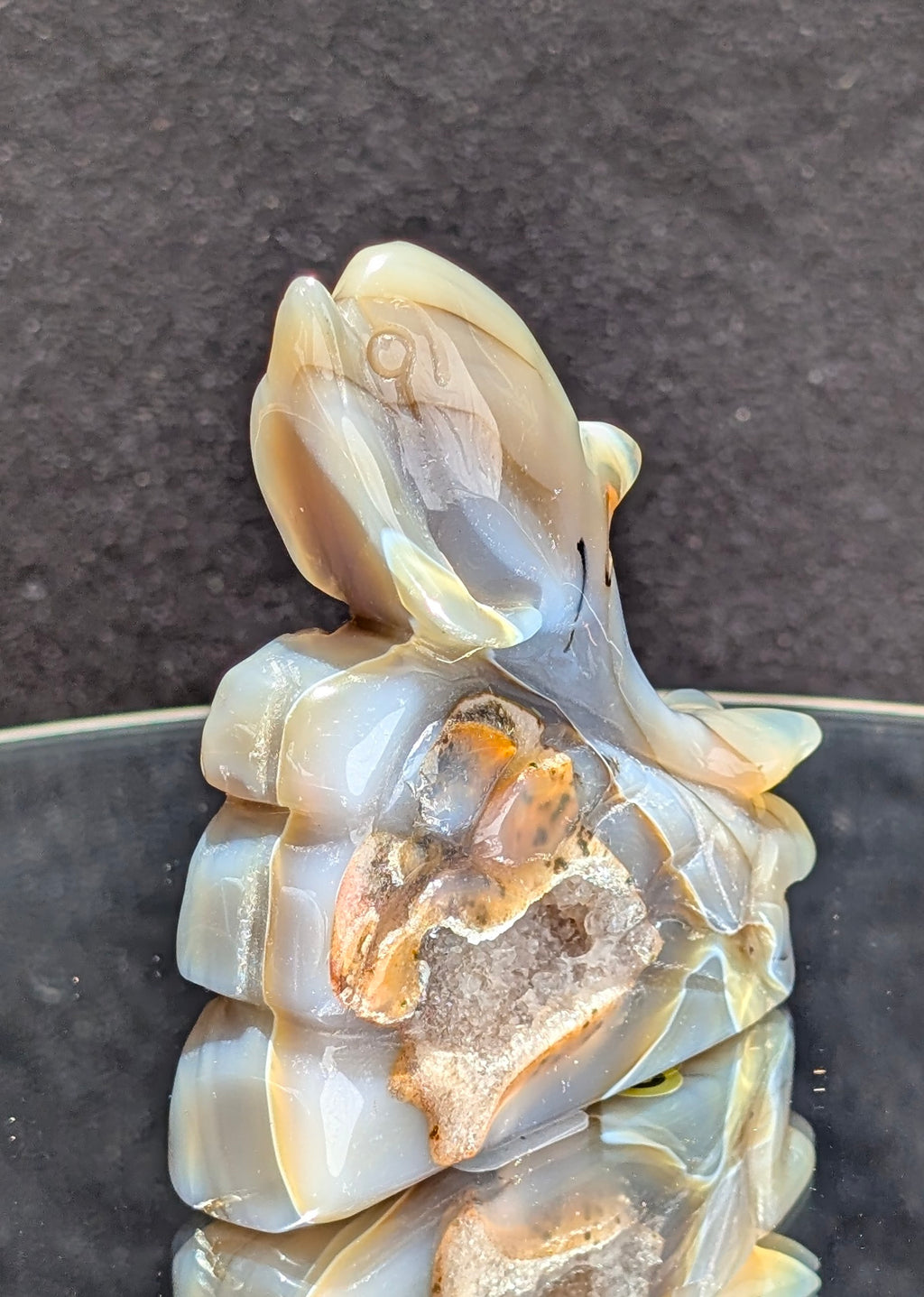 Agate Druzy Dolphin C