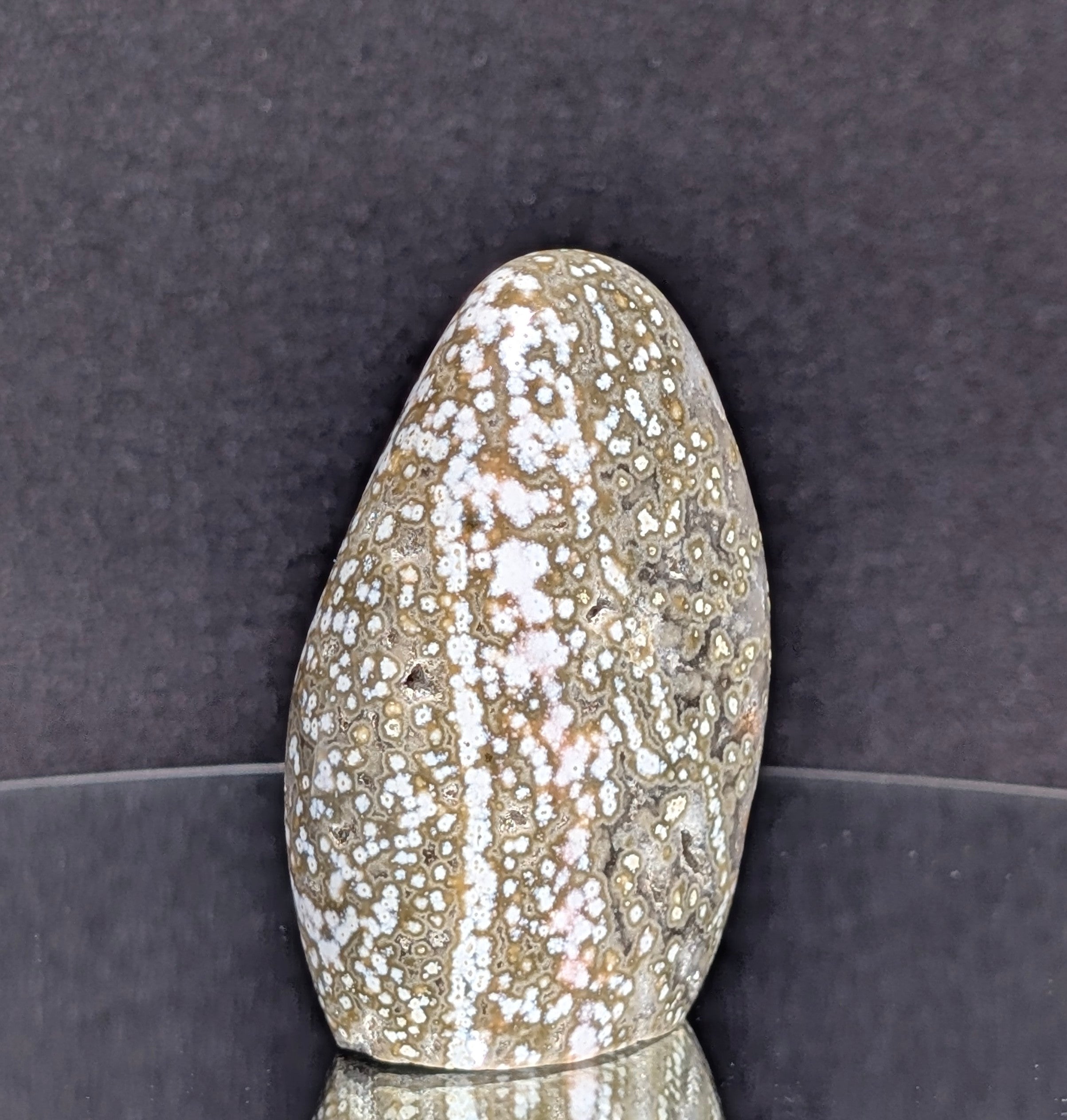 Ocean Jasper B