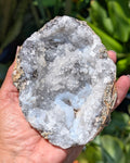 Fluorescent Trancas Geode with Helicites and Chalcedony F