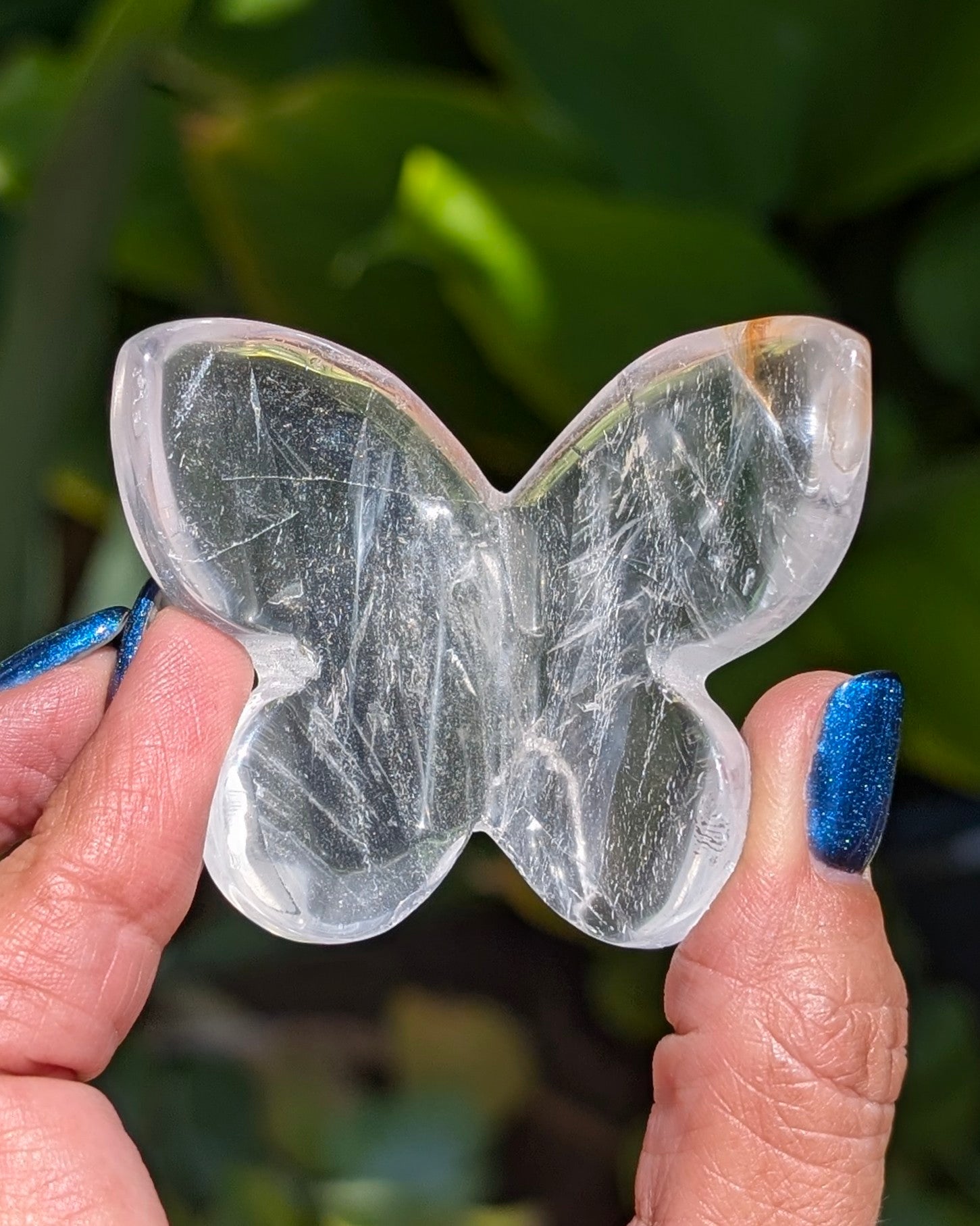 Clear Fluorite 3D Butterfly - Opt. W