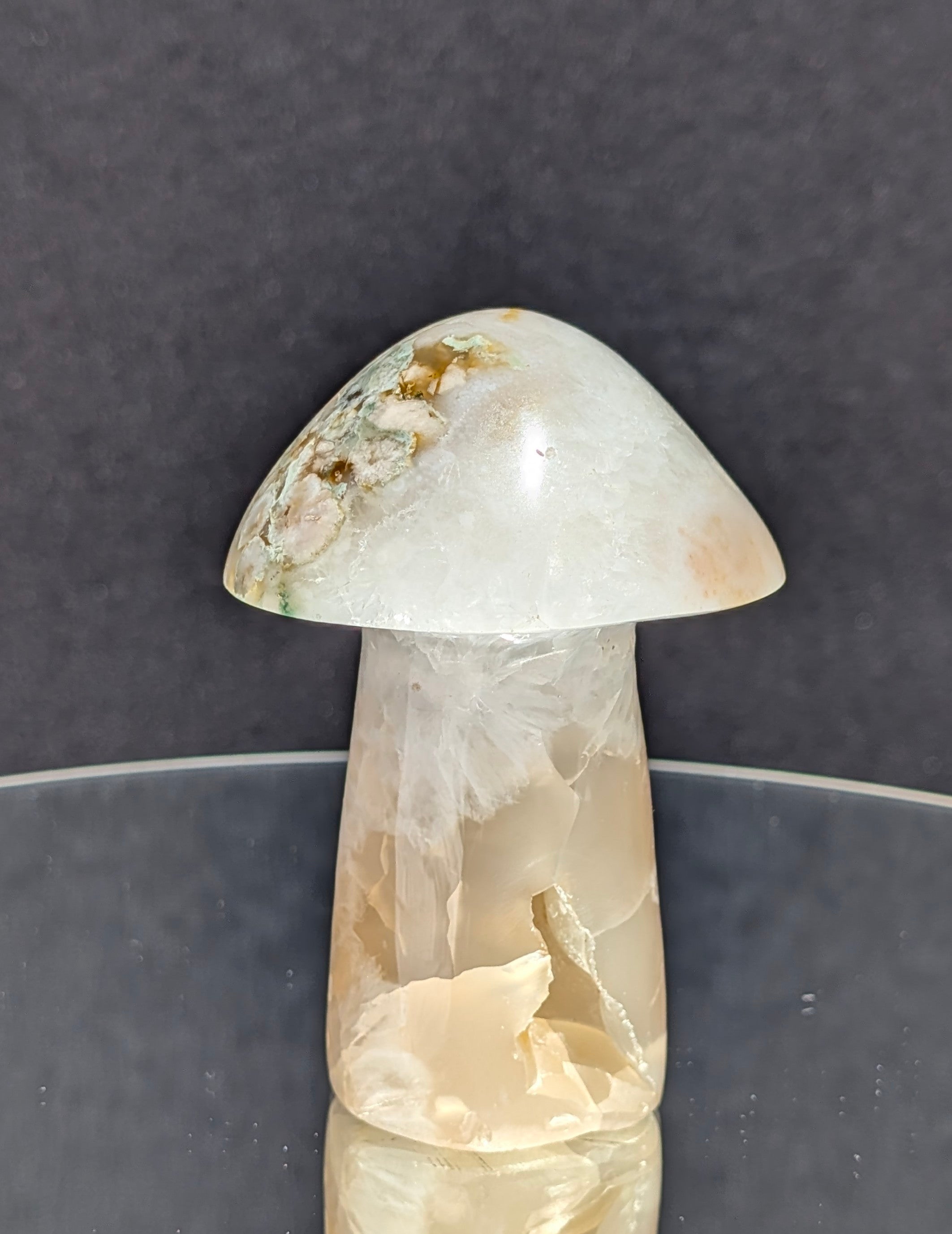 Flower Agate Mushroom E