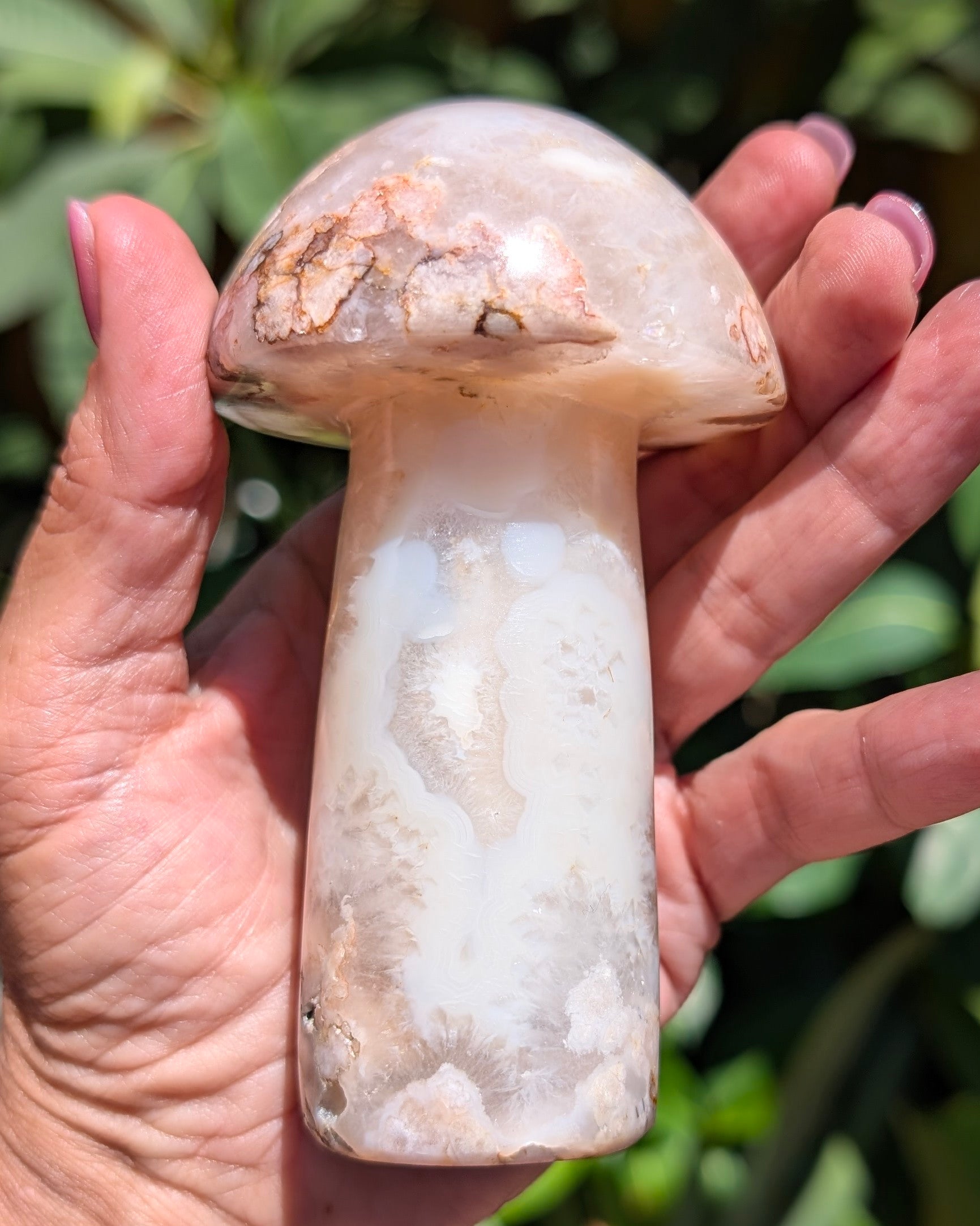 Flower Agate Mushroom F