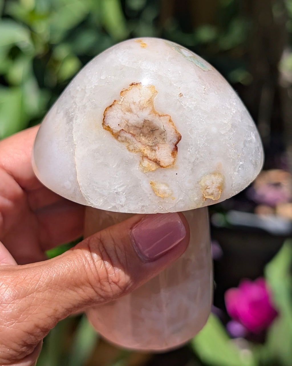 Flower Agate Mushroom E