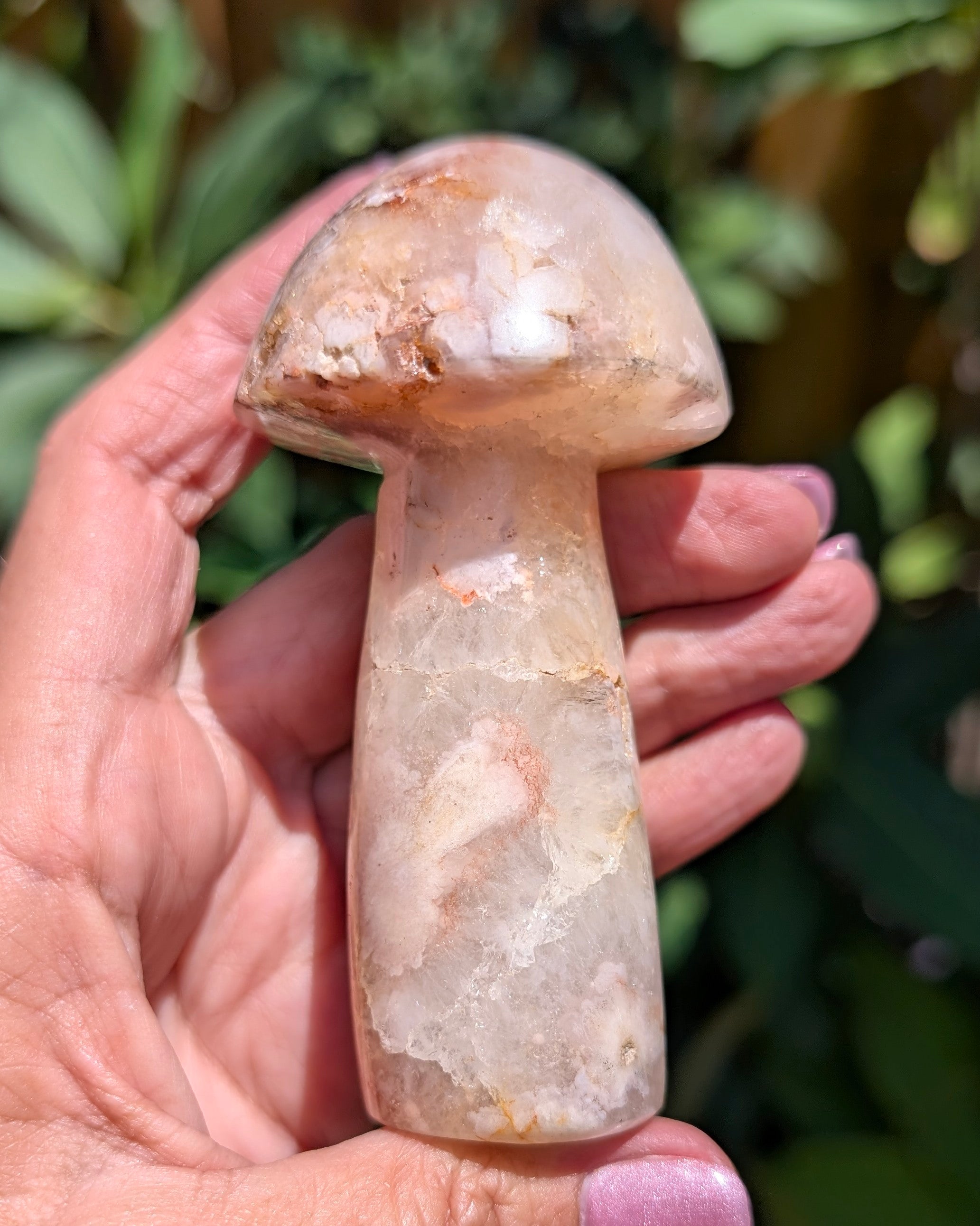 Flower Agate Mushroom G