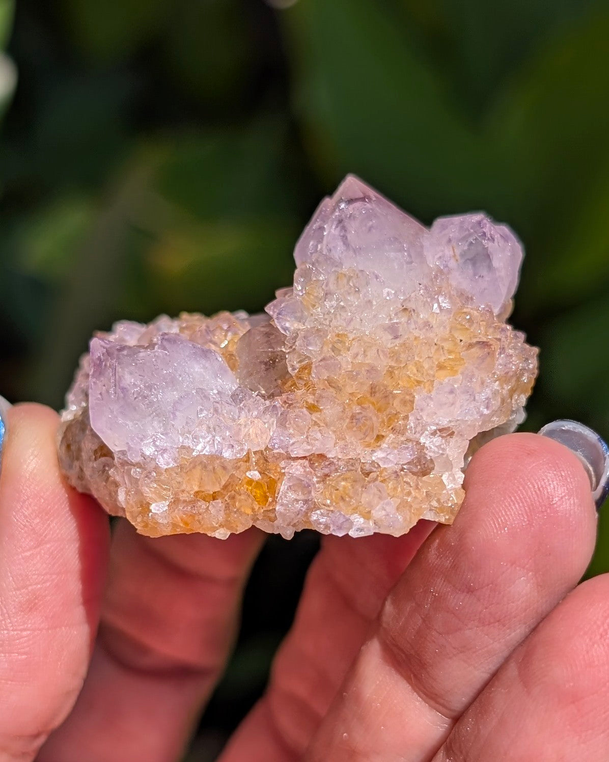Petite Spirit Quartz - Opt. A