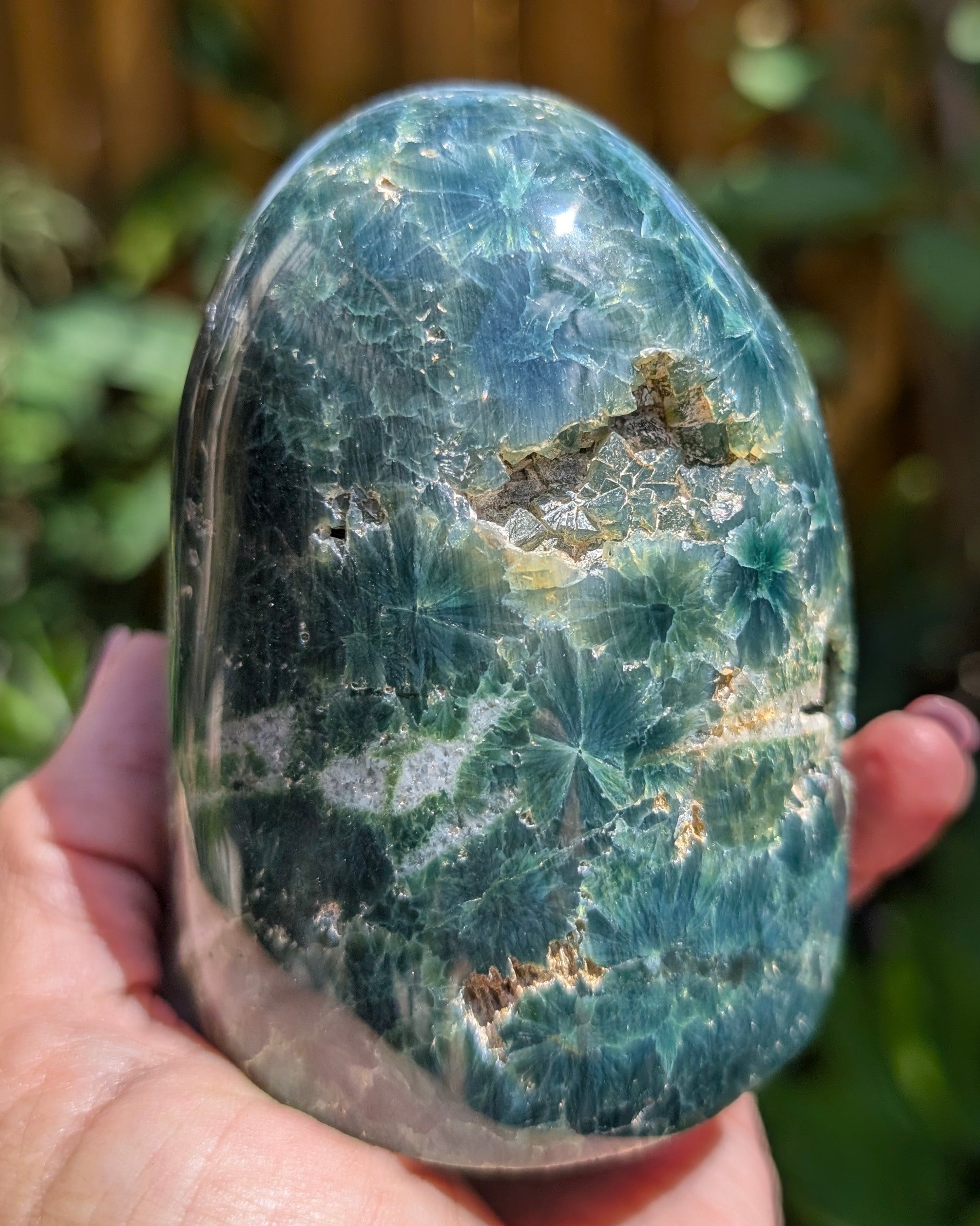 Ocean Jasper D