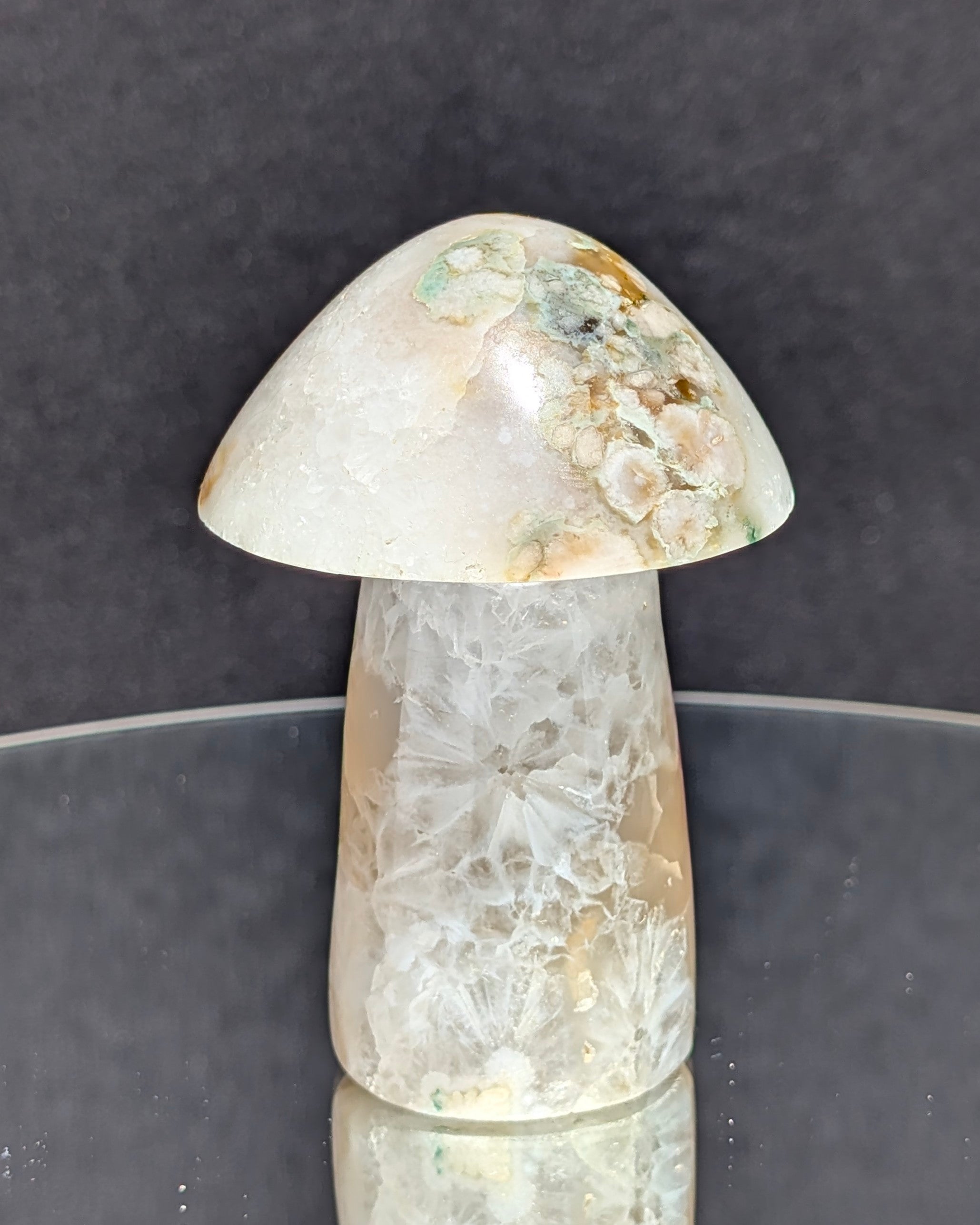 Flower Agate Mushroom E