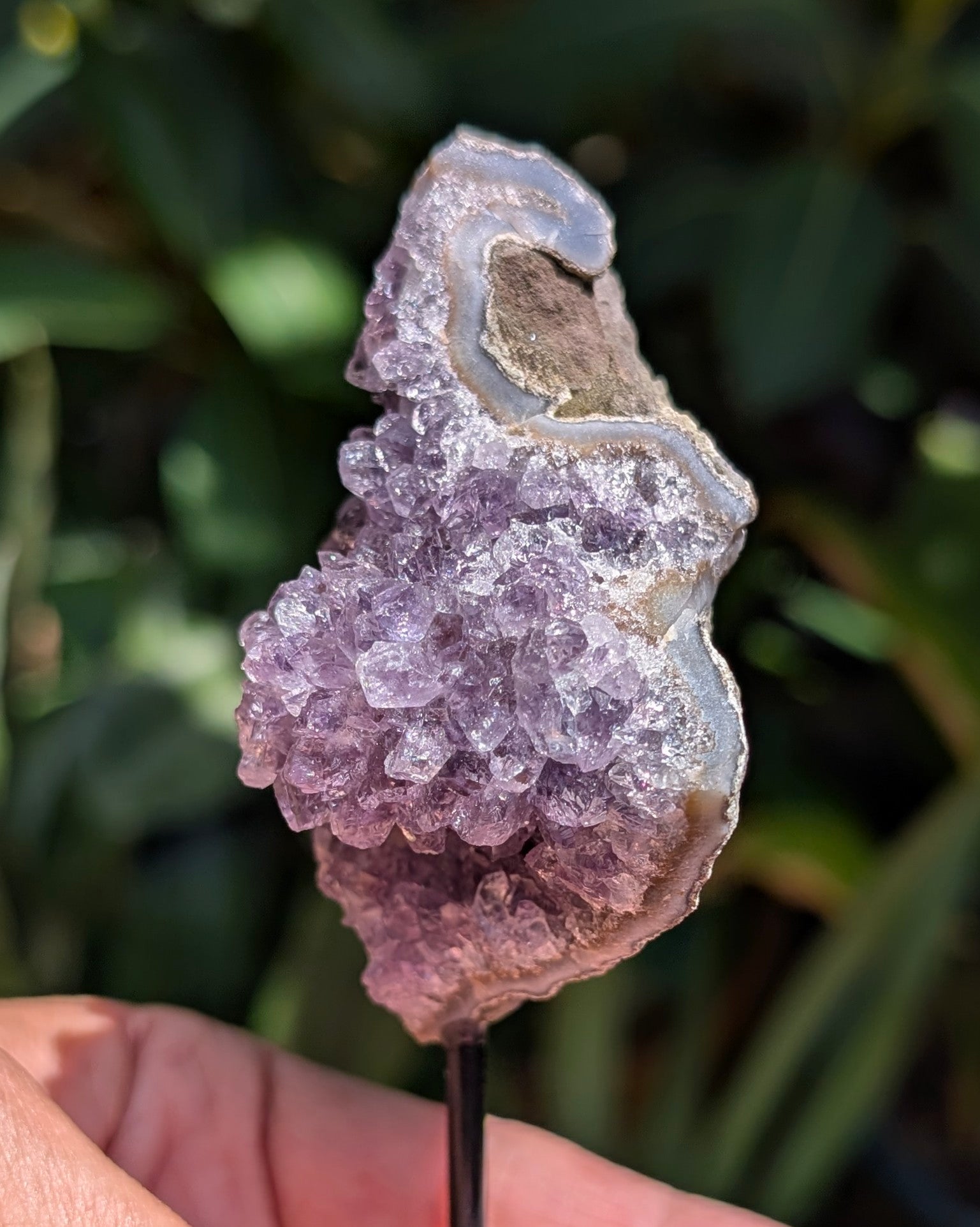 Druzy Amethyst on metal stand - Opt. C