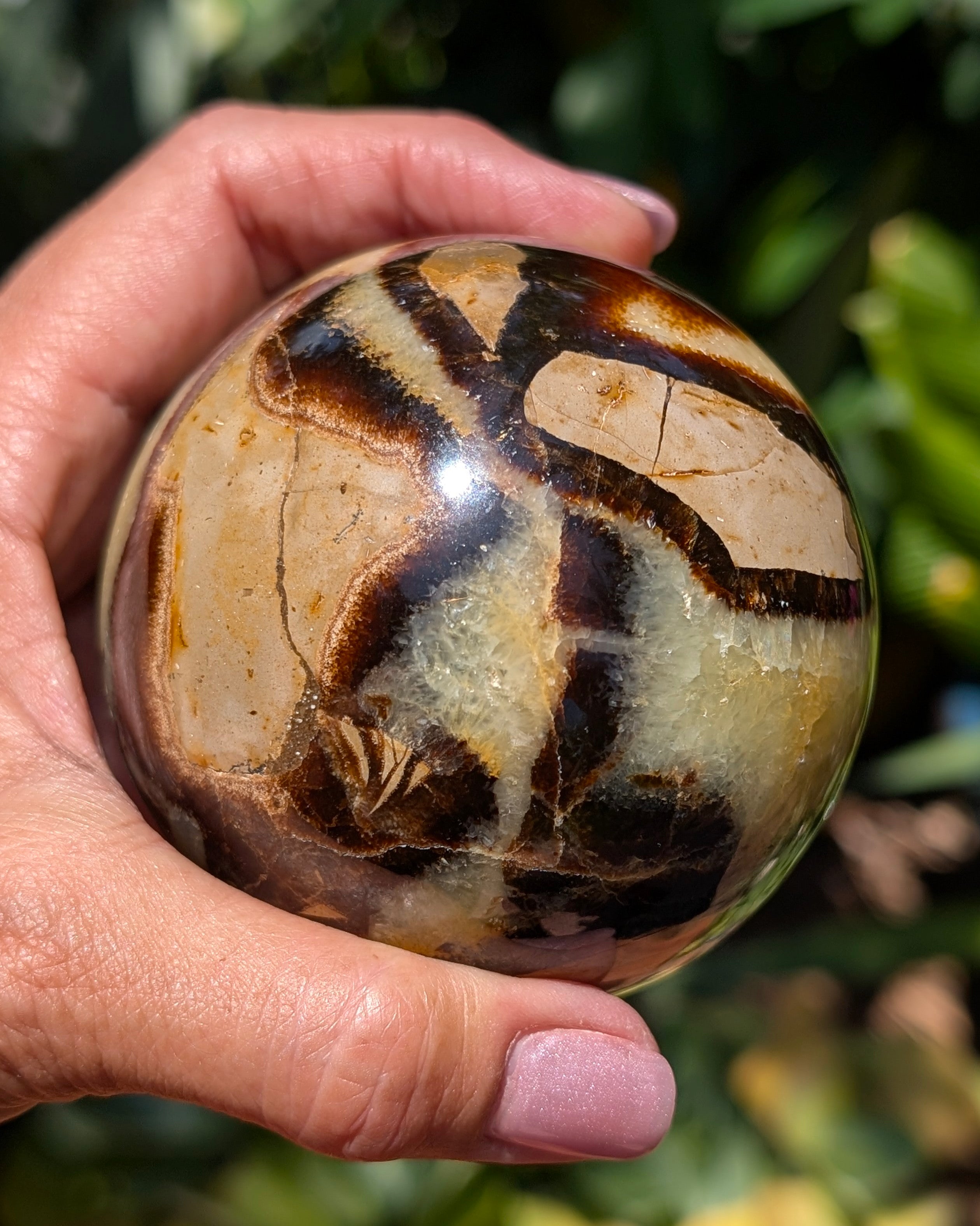 Septarian Dragon Stone Sphere A
