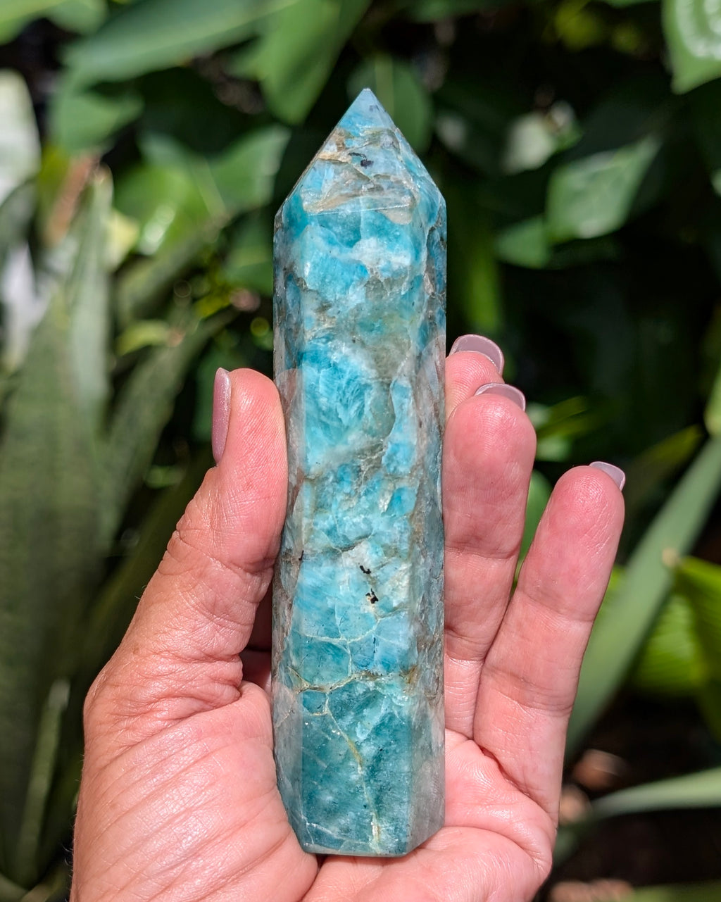 Amazonite Generator D