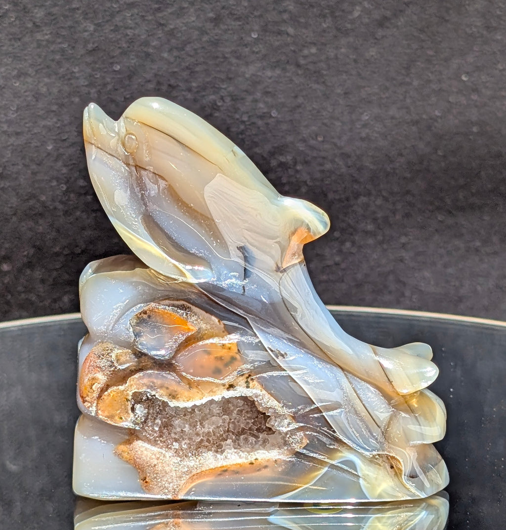 Agate Druzy Dolphin C