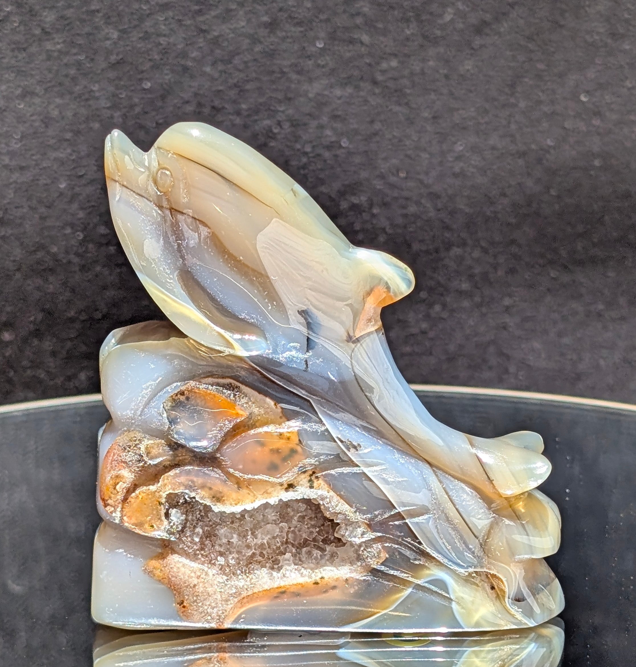 Agate Druzy Dolphin C