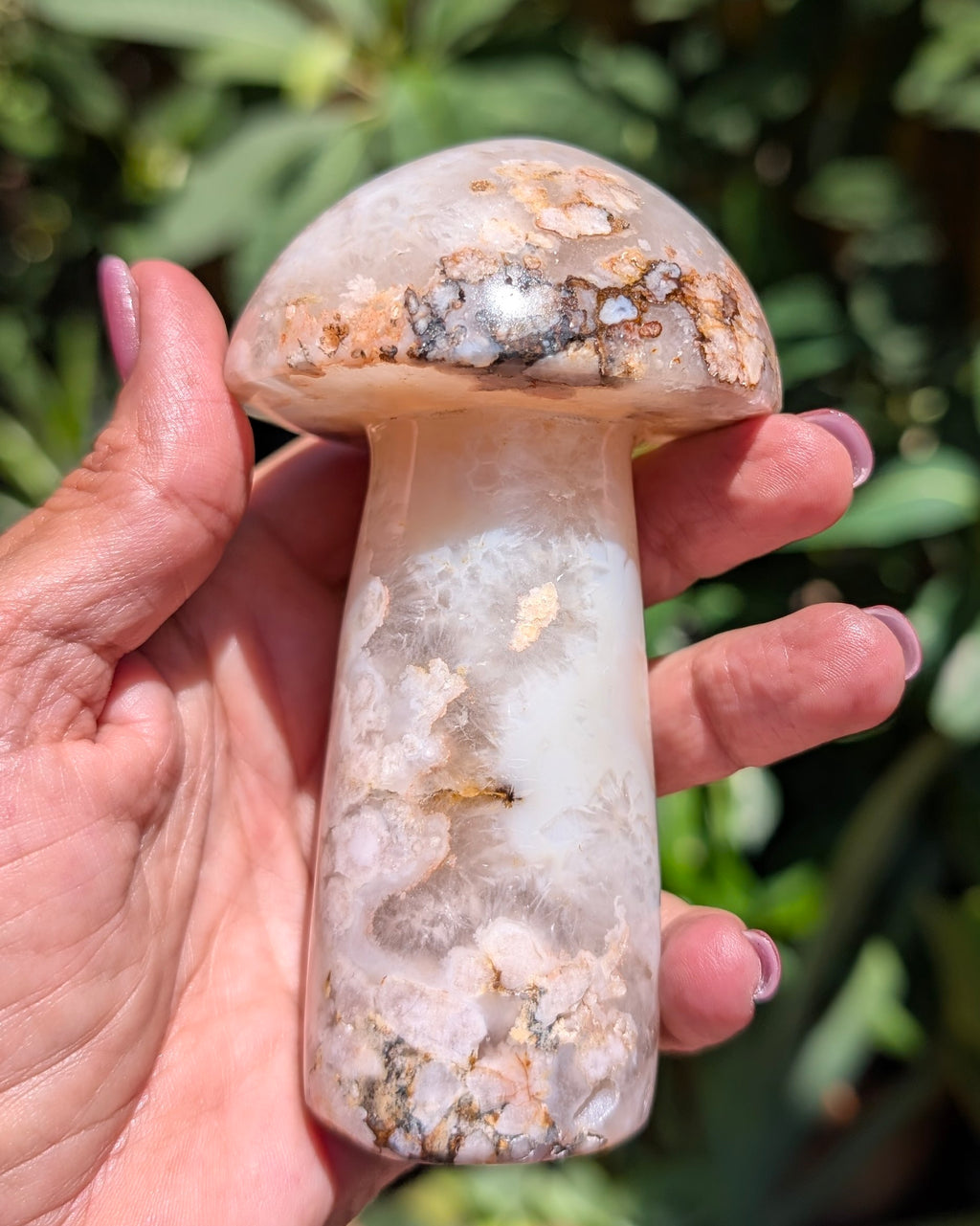 Flower Agate Mushroom F